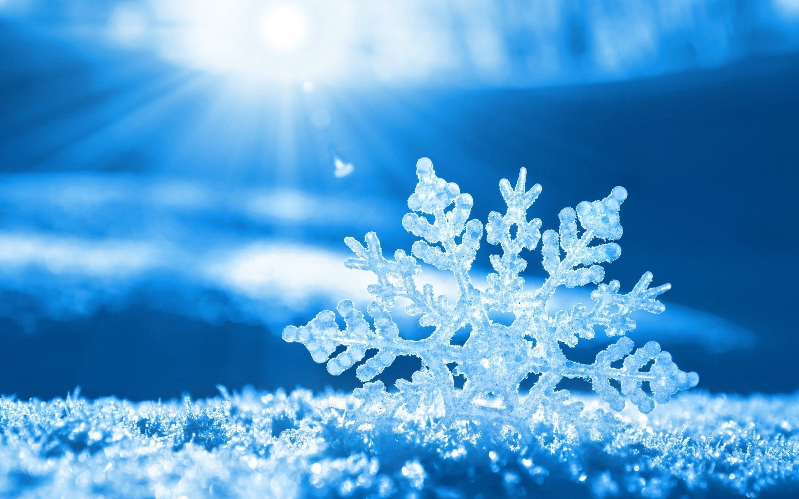 Fiocco di neve macro azzurro, 2560x1600 WQXGA, PC Desktop