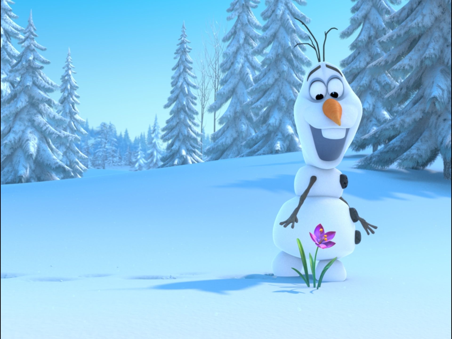 Olaf pupazzo neve fiore foresta, 1920x1440 Full HD+ WUXGA, Desktop