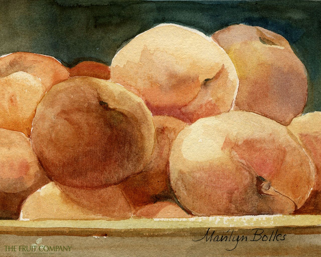 Frutta ad acquerello a mosaico, 800x1410 Full HD Verticale, Google Pixel