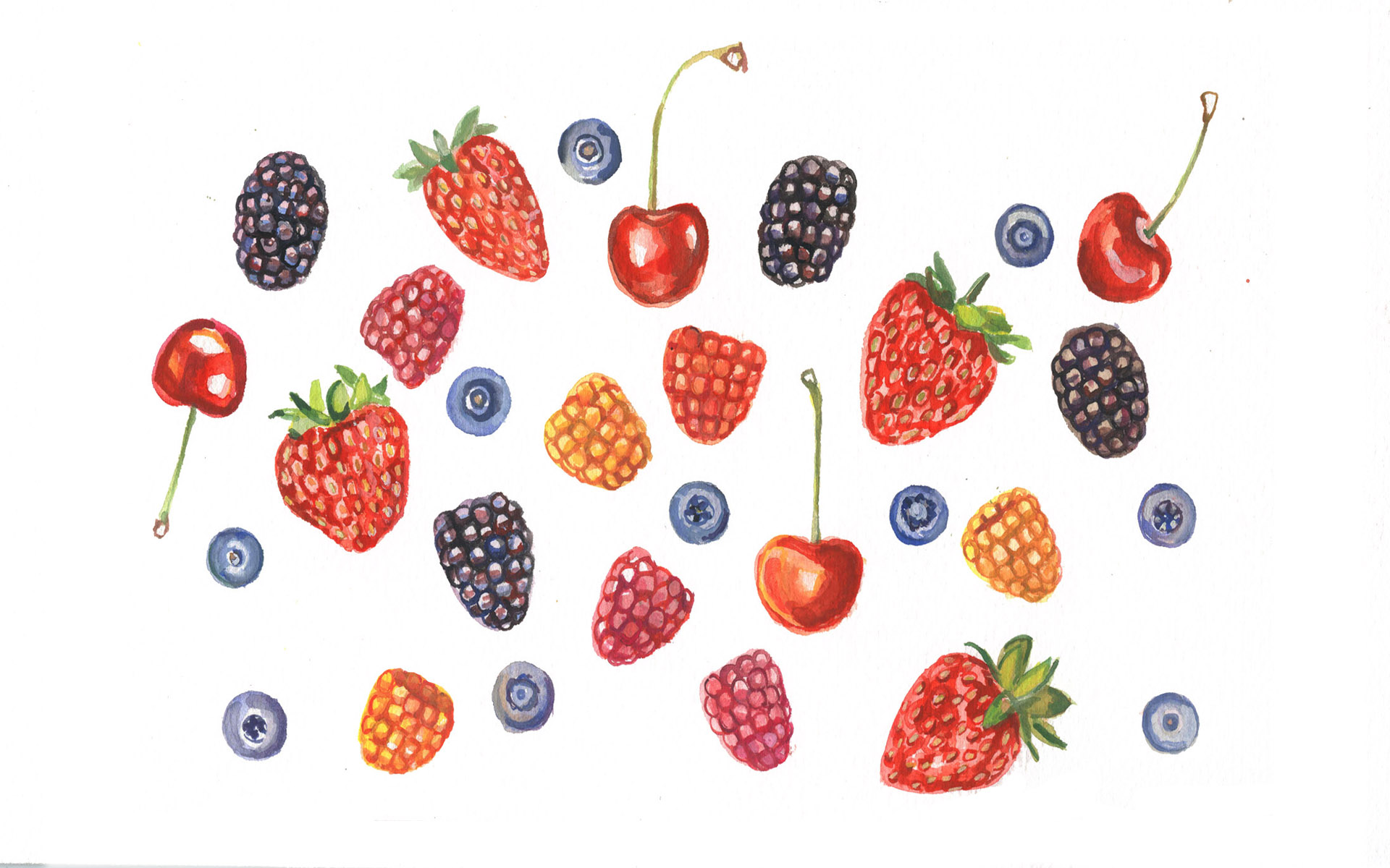 Illustrazione frutti di bosco misti, 1920x1200 WUXGA, Desktop