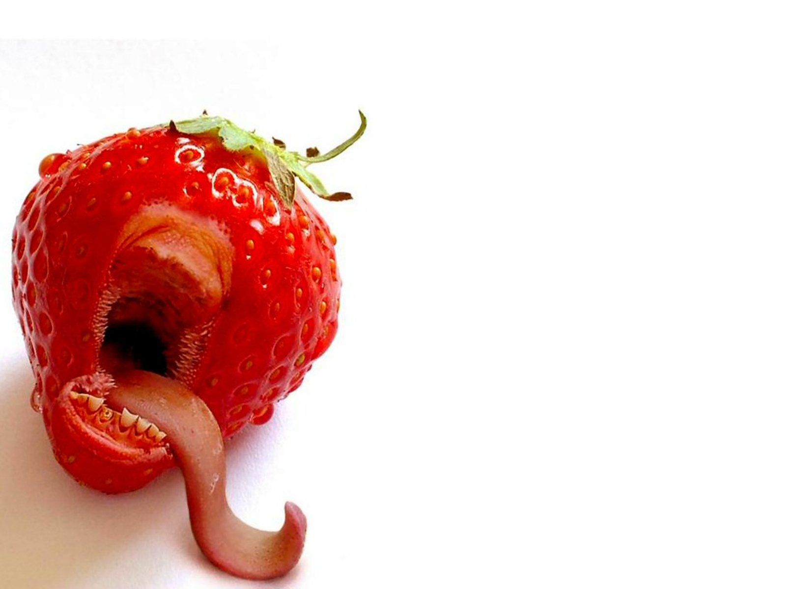 Fragola a forma di elefante, 1600x1200 900p, Desktop