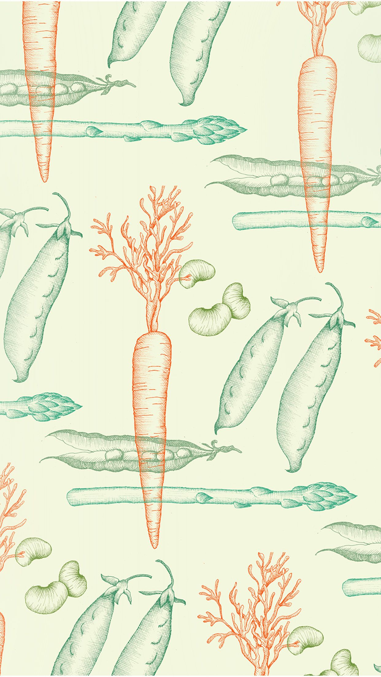 Verdure illustrate carote piselli asparagi, 1242x2208 Full HD Verticale, iPhone