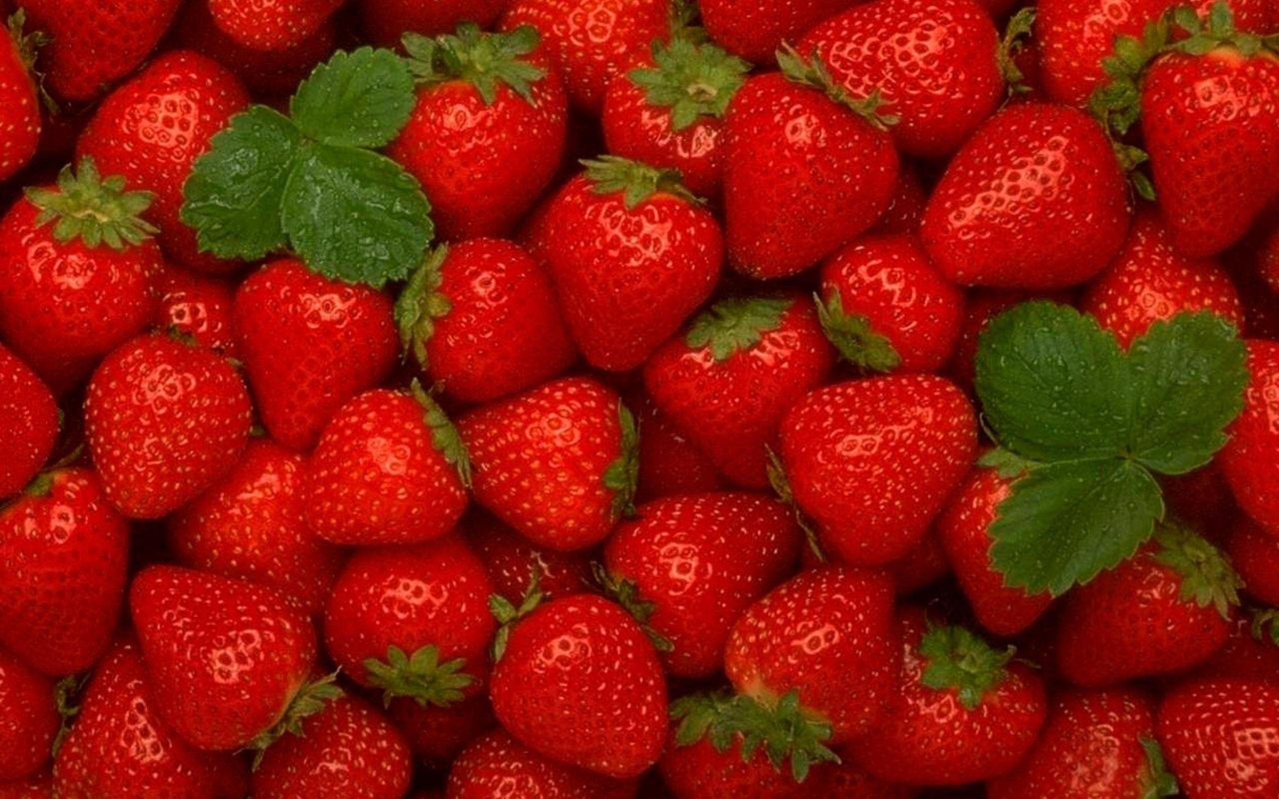 Fragole rosse fresche mature, 2560x1600 2K+, PC