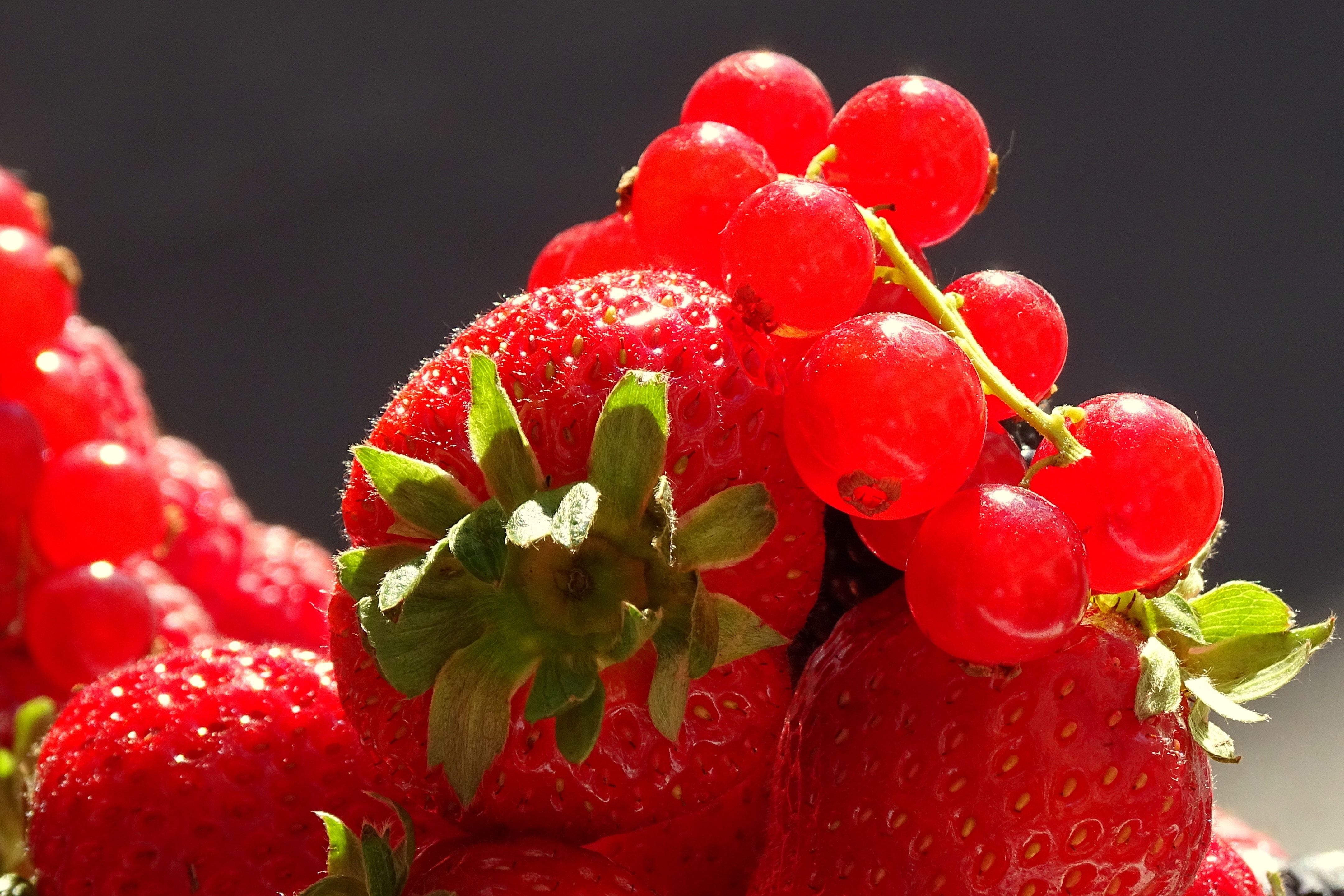 Fragole e ribes rosso, 4321x2882 UHD, PC 4K