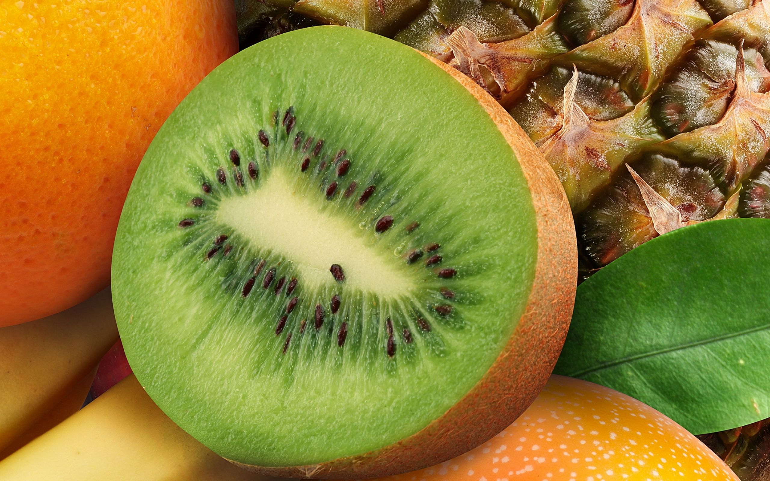 Kiwi affettato con frutta mista, 2560x1600 2K+, Desktop