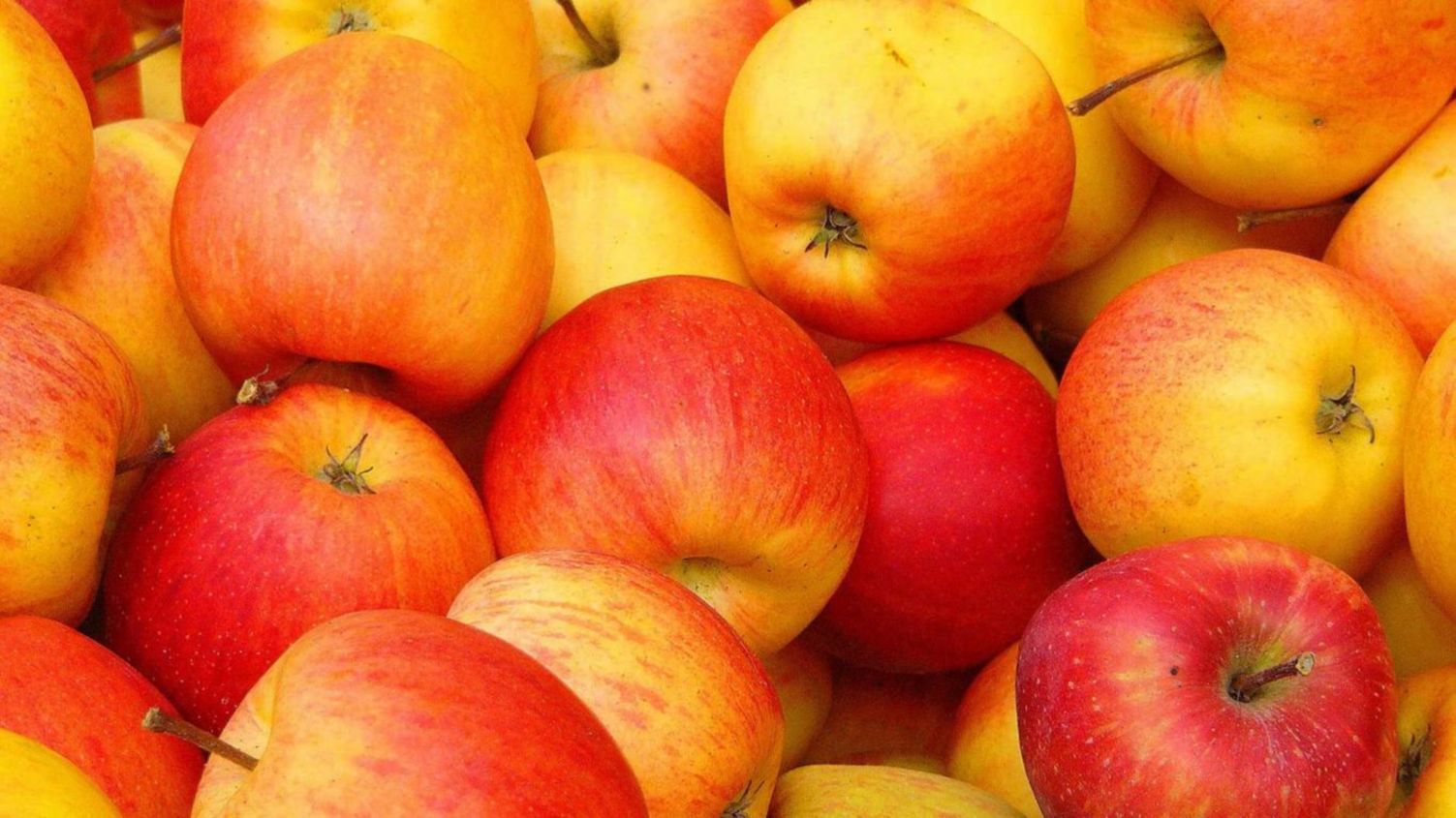 Mele rosse e gialle, 1503x845 HD, Desktop
