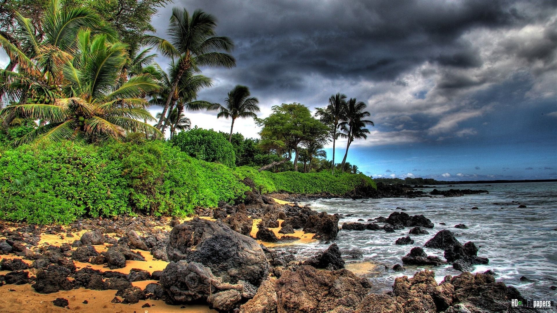 Spiaggia tropicale con palme, 1920x1080 Full HD, PC Desktop