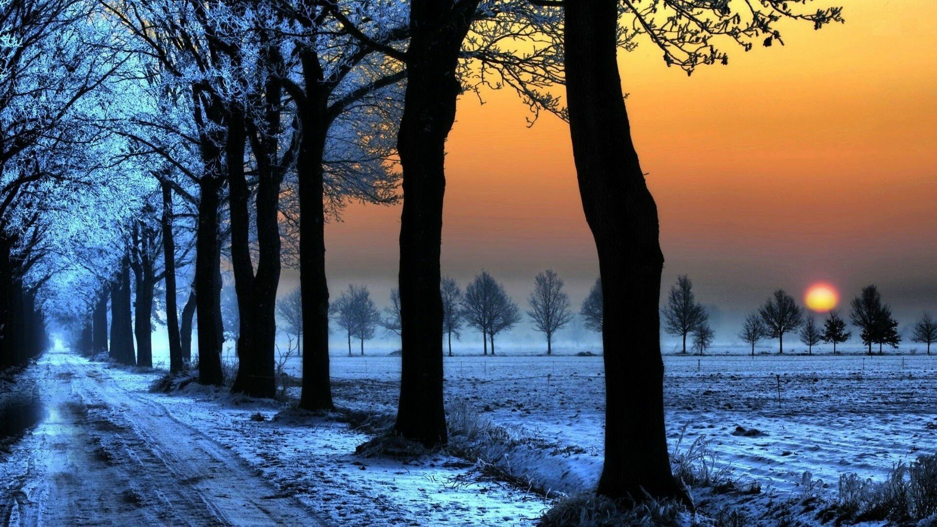 Tramonto invernale su strada alberata, 1920x1080 Full HD, Desktop