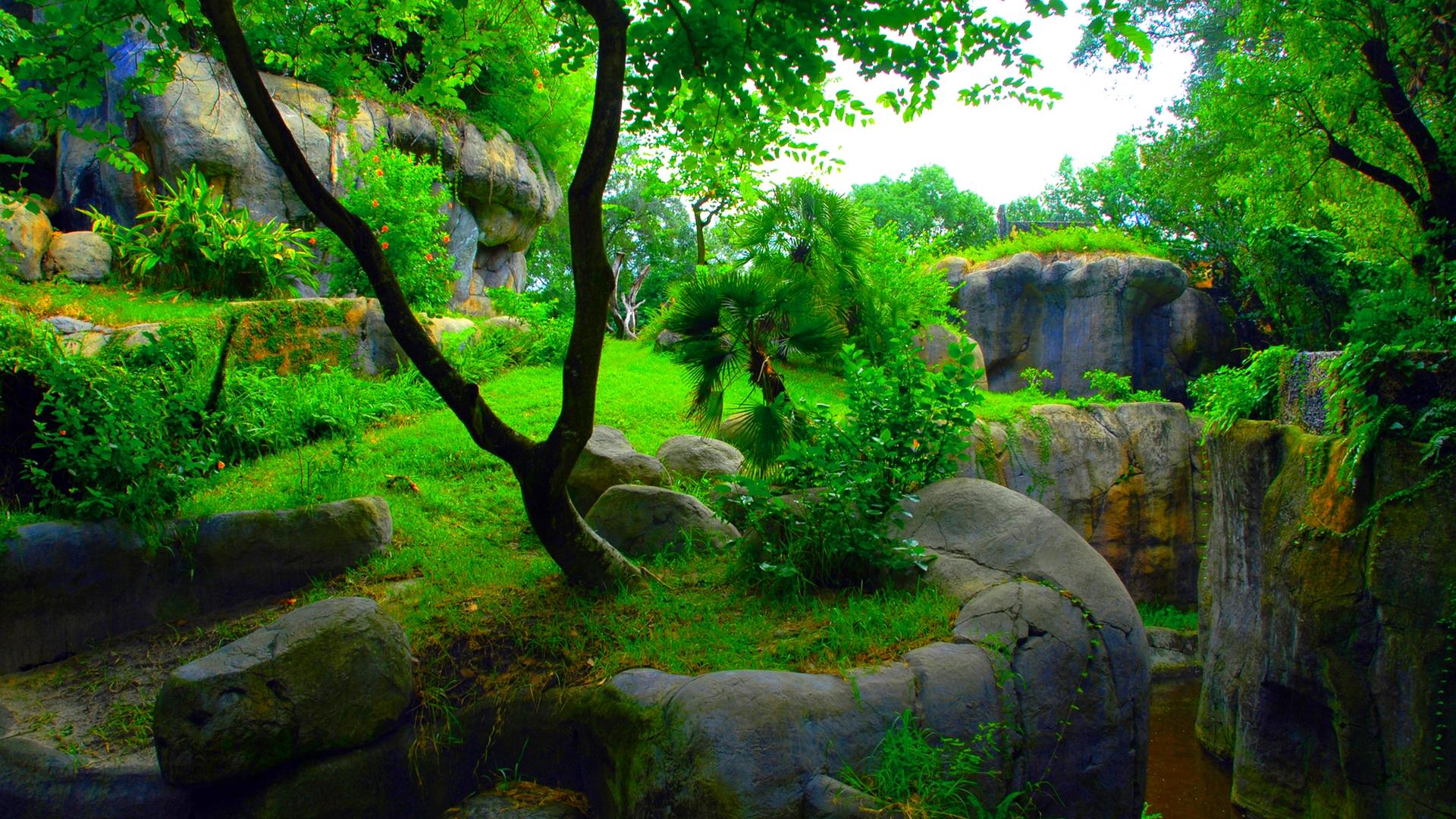 Giardino roccioso verde tropicale, 1920x1080 Full HD, Laptop