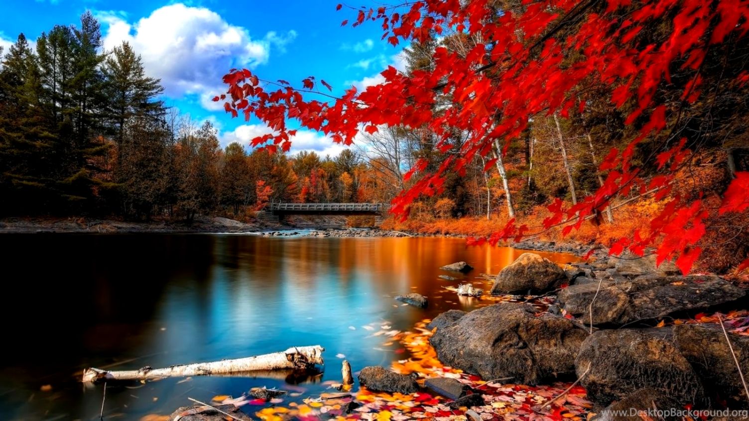 Paesaggio autunnale con lago, 1504x846 HD, Desktop