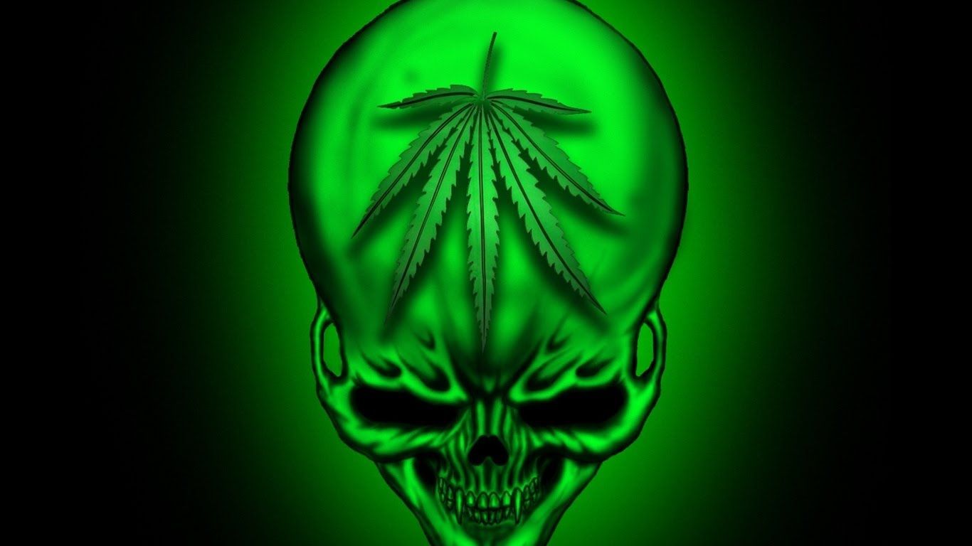 Mano con foglia cannabis verde, 1920x1080 Full HD, Laptop