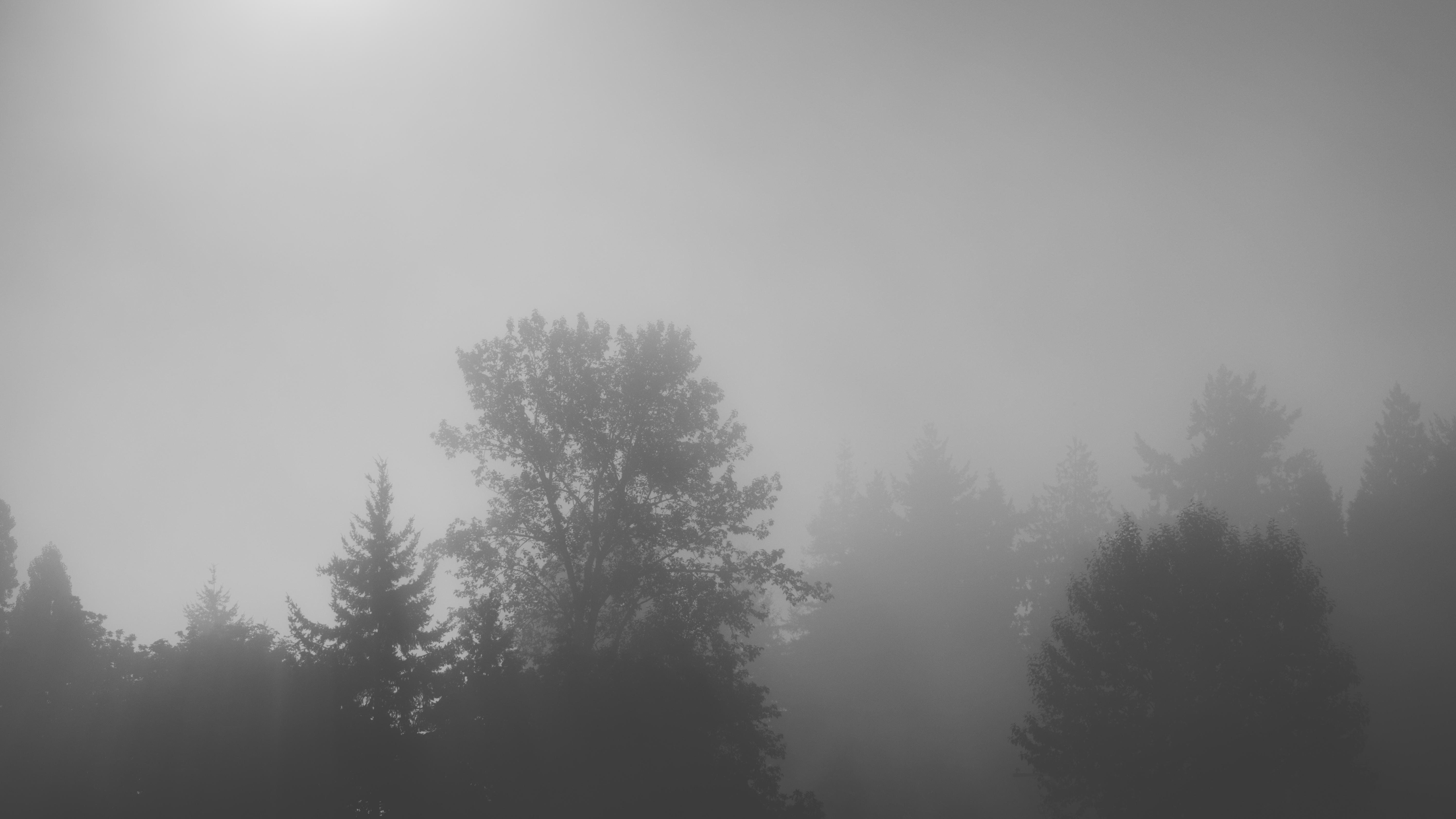 Fumo bianco astratto, 3840x2400 UHD, PC 4K