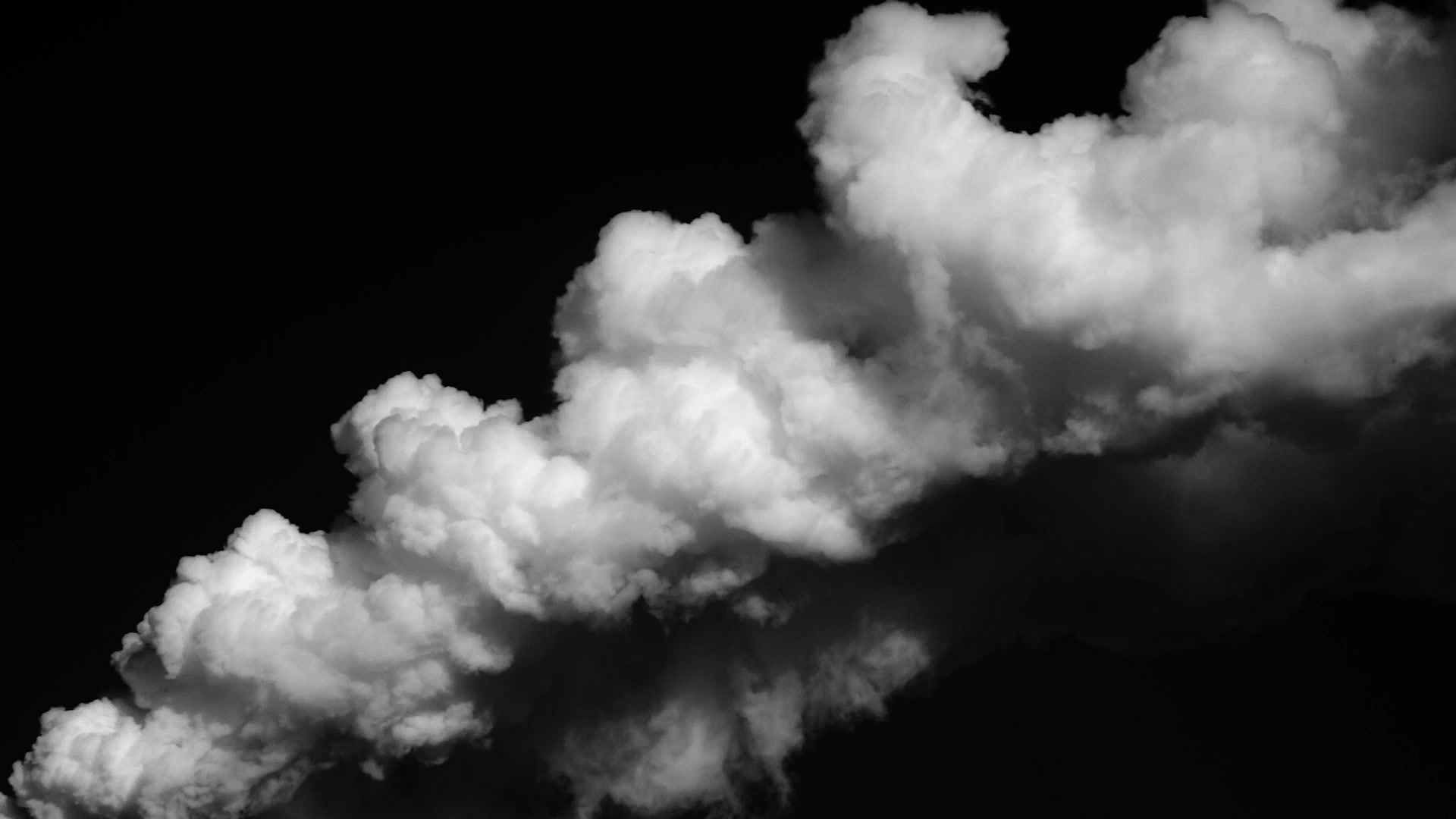 Foglie di felce con fumo bianco, 3840x2160 4K, Desktop 4K