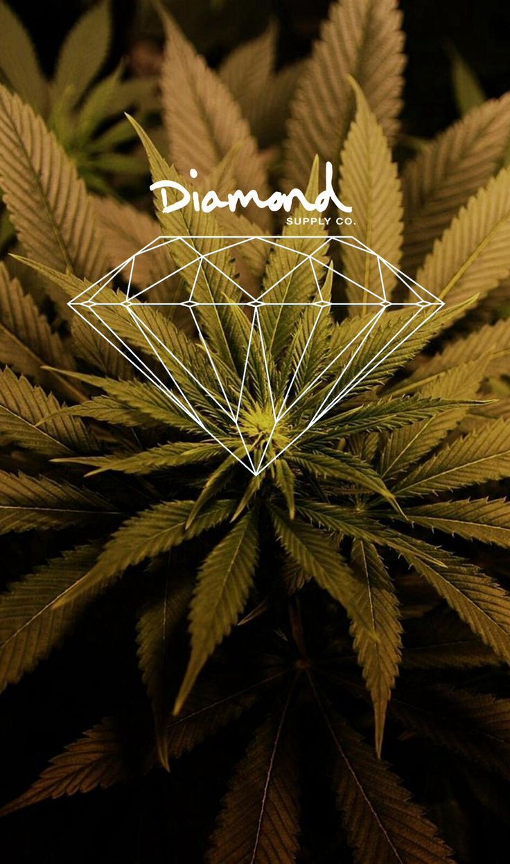 Foglie di cannabis con logo diamante, 736x1247 Full HD Verticale, iPhone Plus