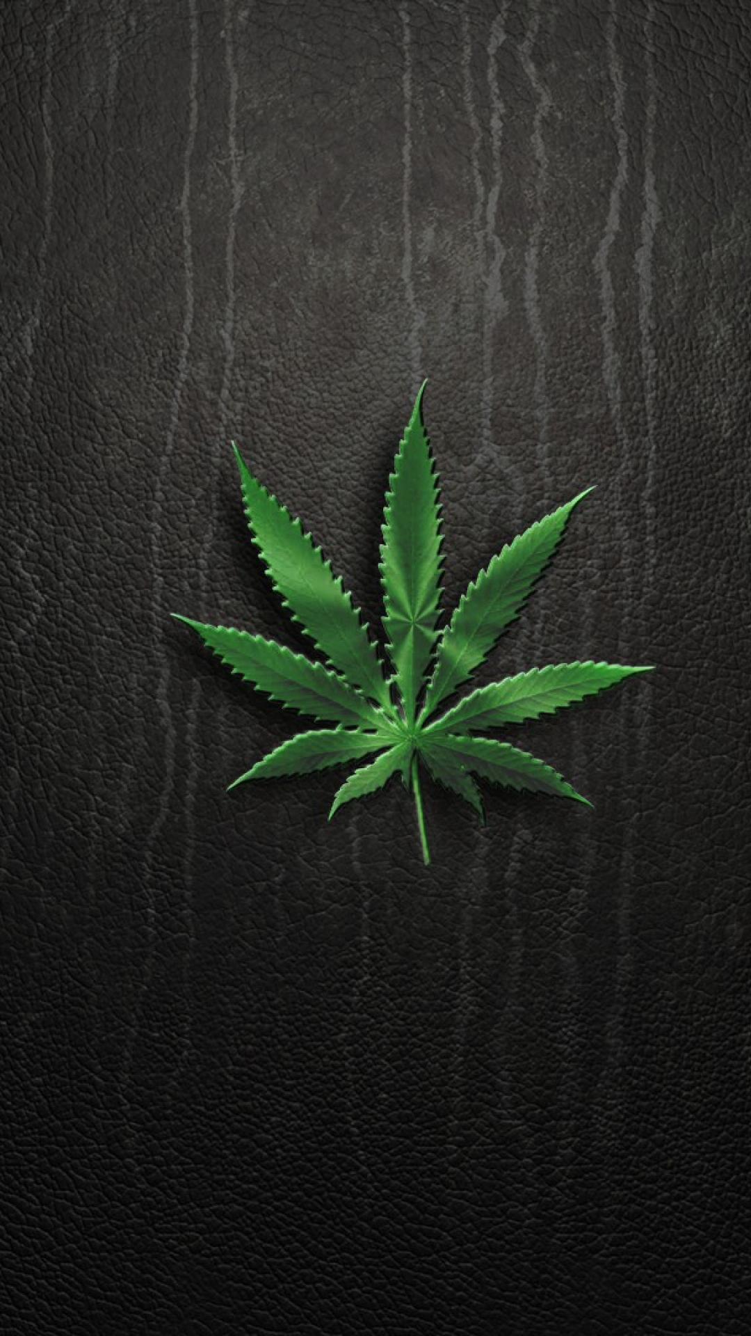 Foglia di cannabis verde, 1080x1920 Verticale, iPhone Pro