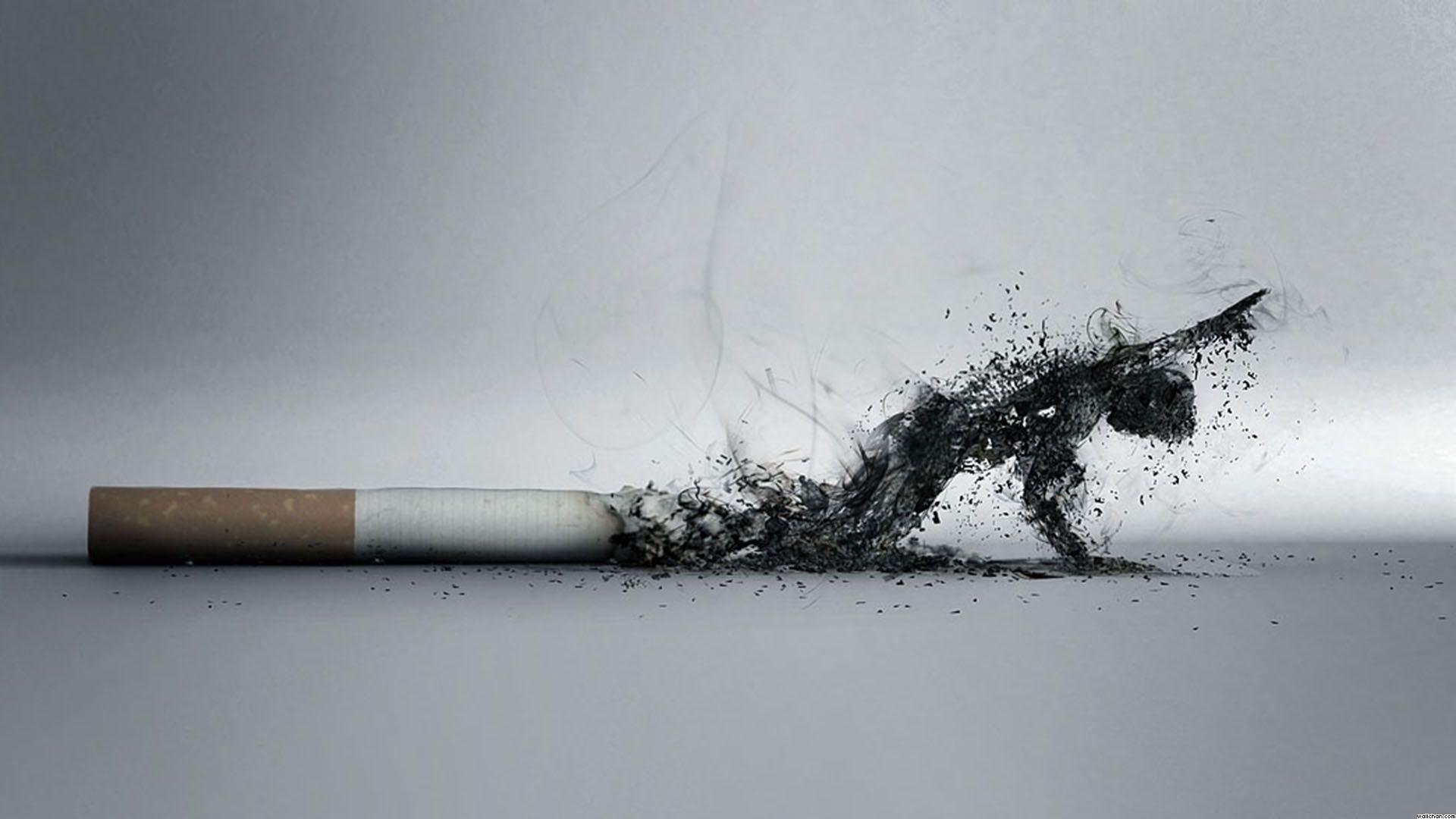 Sigaretta con figura di fumo, 1920x1080 Full HD 1080p, PC Desktop
