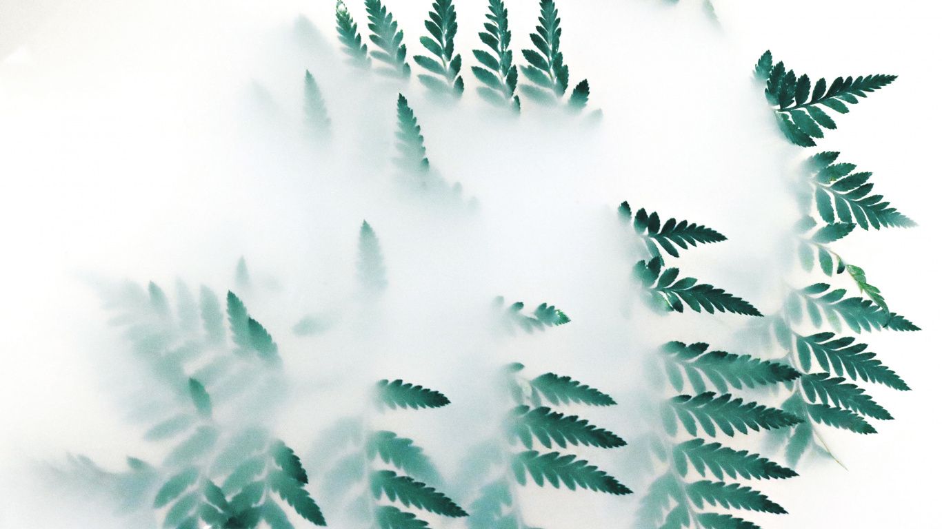 Foglie verdi tra fumo bianco, 1366x768 720p, HP Laptop