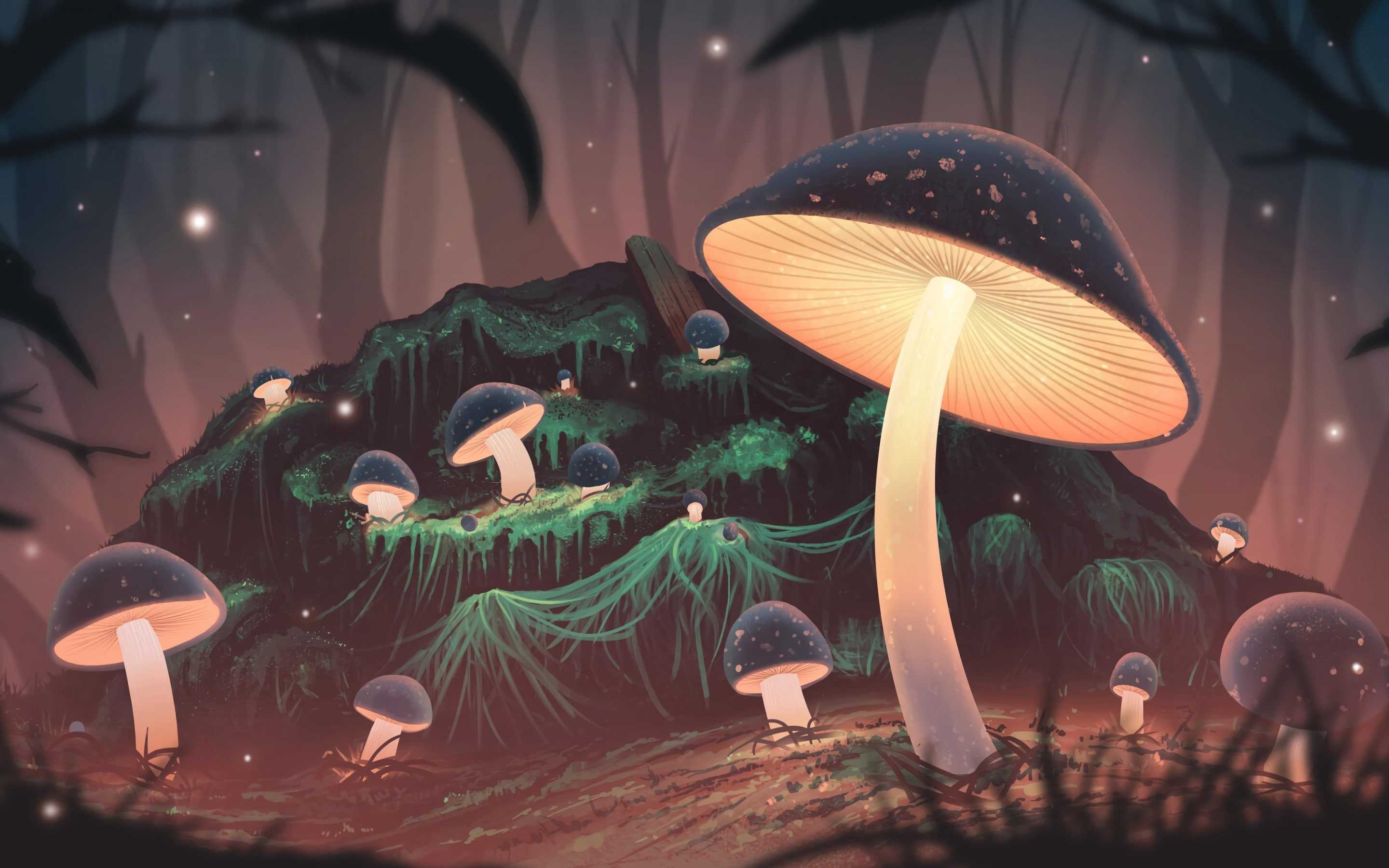 Funghi luminosi nella foresta, 2880x1800 2K, Desktop