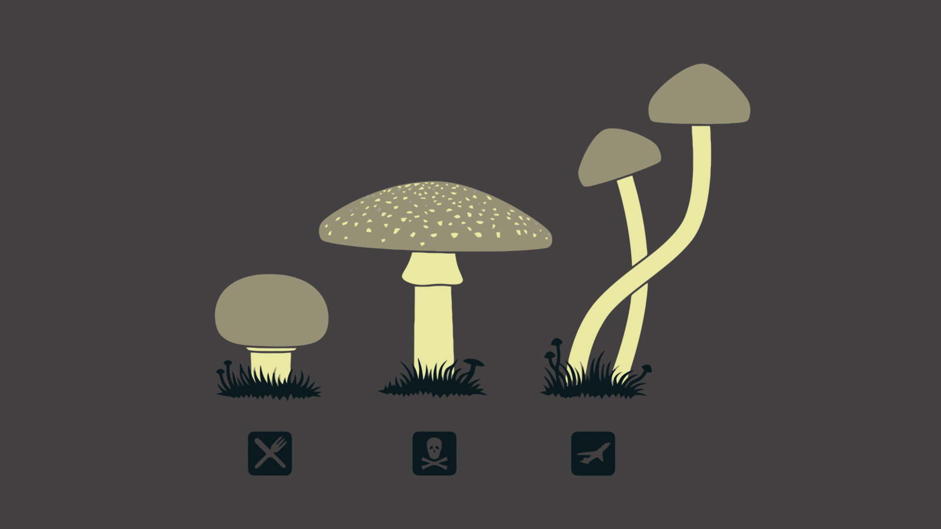 Funghi illustrati minimalisti grigio, 1920x1080 1080p, Desktop