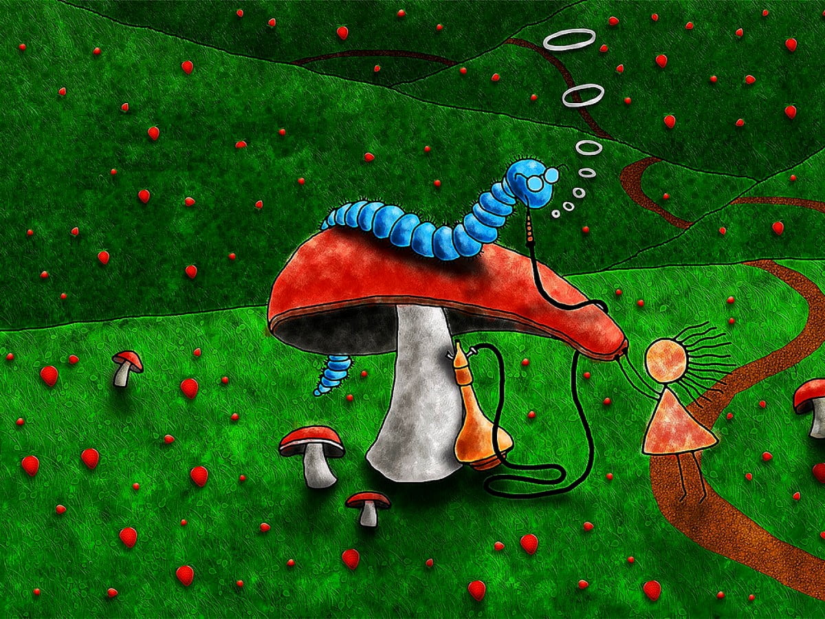 Bruco blu su fungo rosso, 1200x900 HD, Desktop