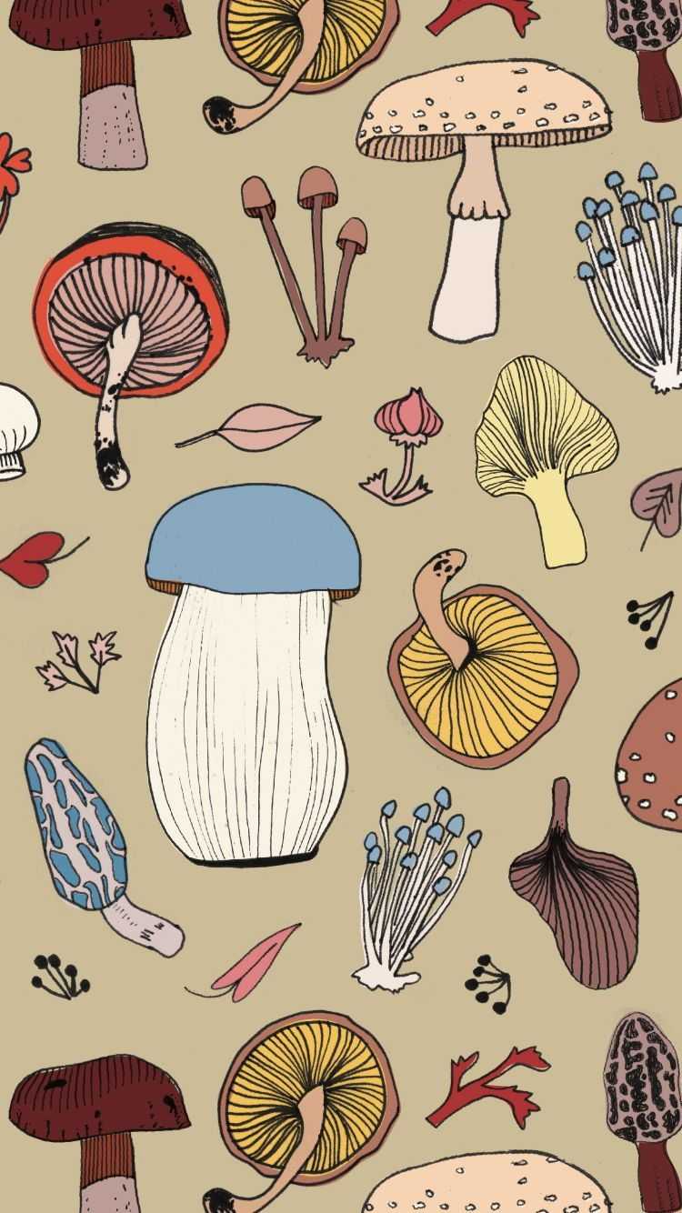 Illustrazione funghi colorati sfondo beige, 750x1334 Full HD Verticale, iPhone
