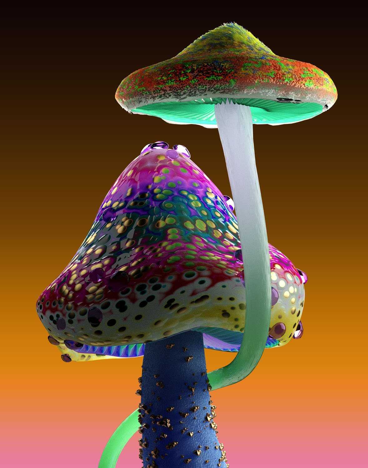 Funghi psichedelici colorati, 1179x1500 Verticale, Android