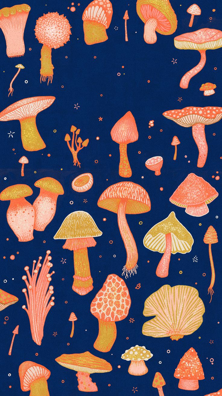 Illustrazione funghi colorati sfondo blu, 736x1311 Full HD Verticale, Smartphone