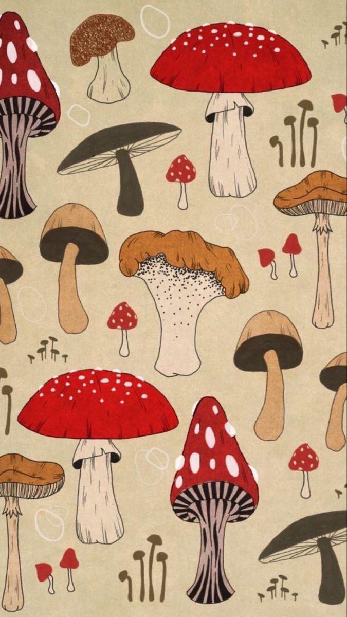 Funghi illustrati sfondo beige, 675x1200 Full HD Verticale, iPhone