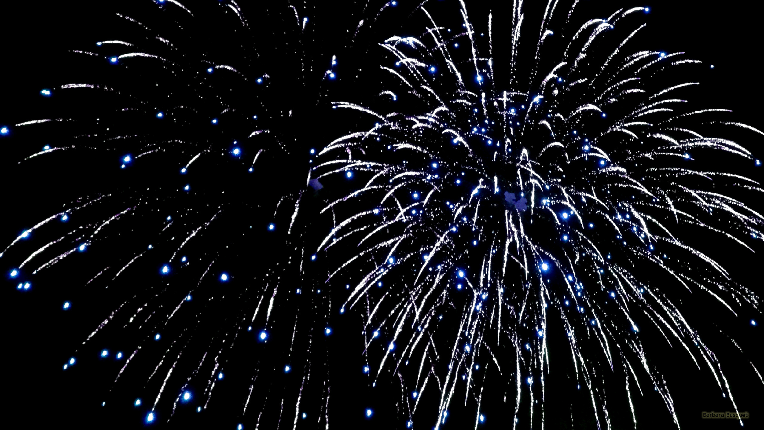 Fuochi d'artificio blu cielo nero, 2560x1440 1440p, Monitor Gaming