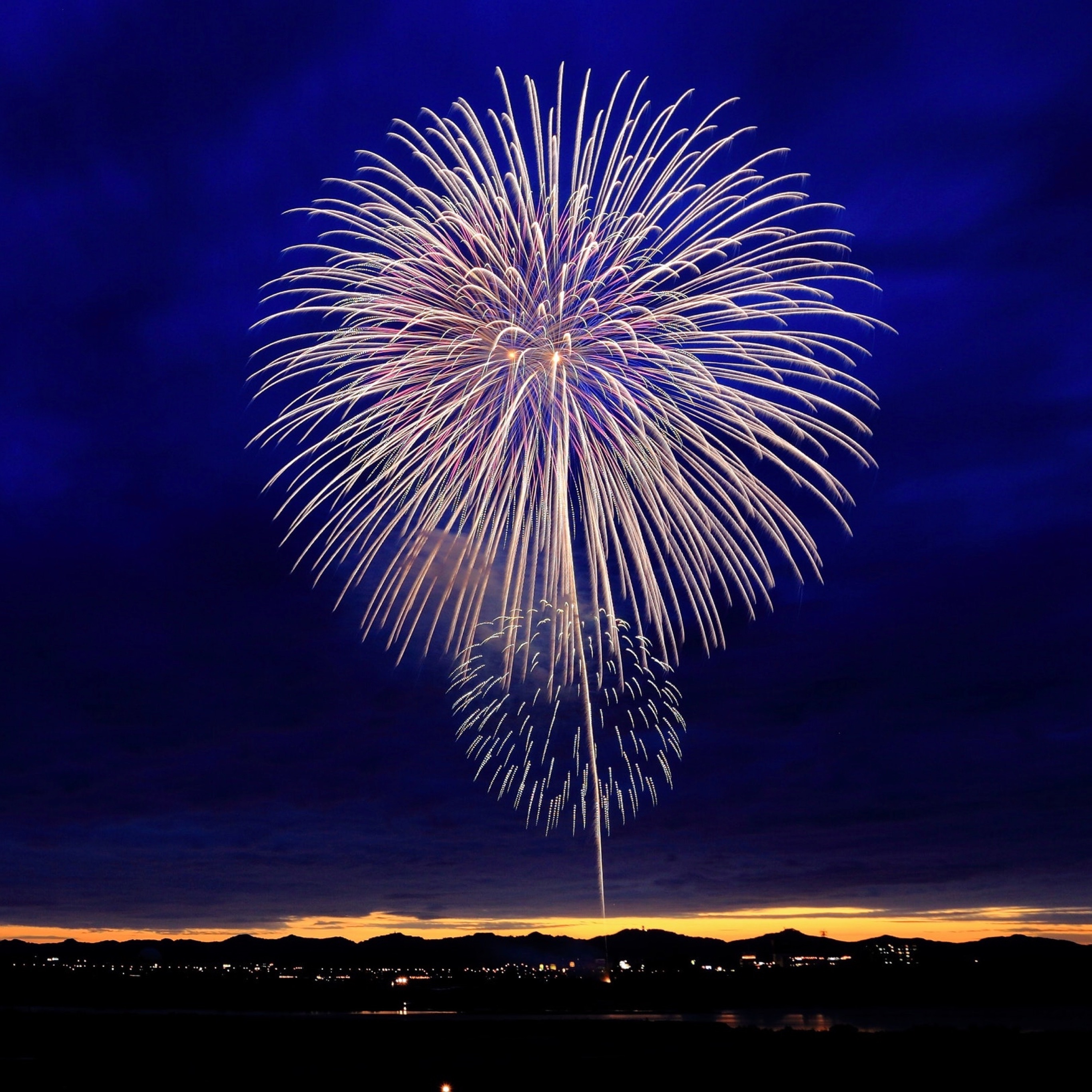 Fuoco d'artificio bianco cielo blu, 2732x2732 WQXGA, PC
