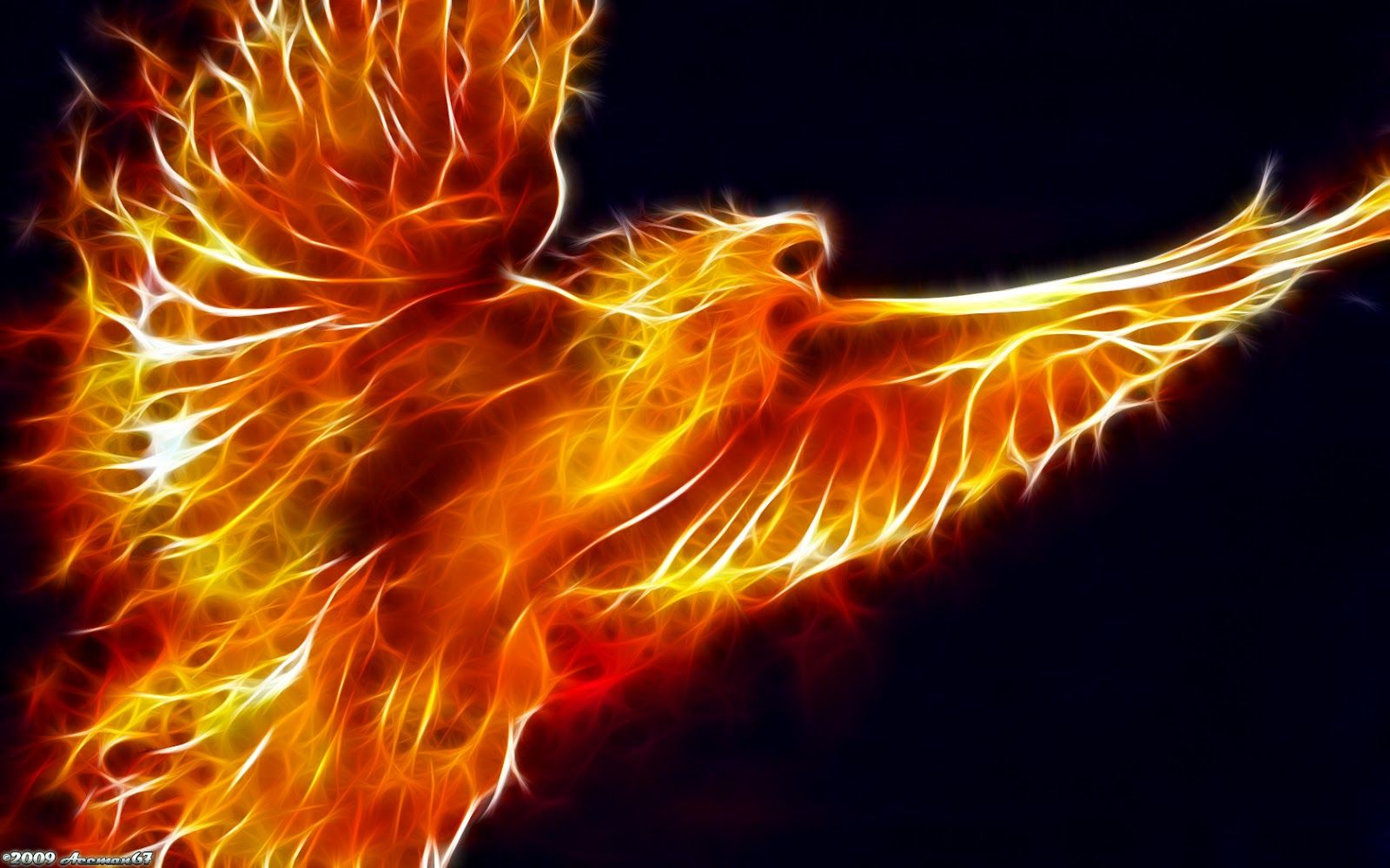 Fenice fiammeggiante arancione, 1600x1000 900p, Desktop