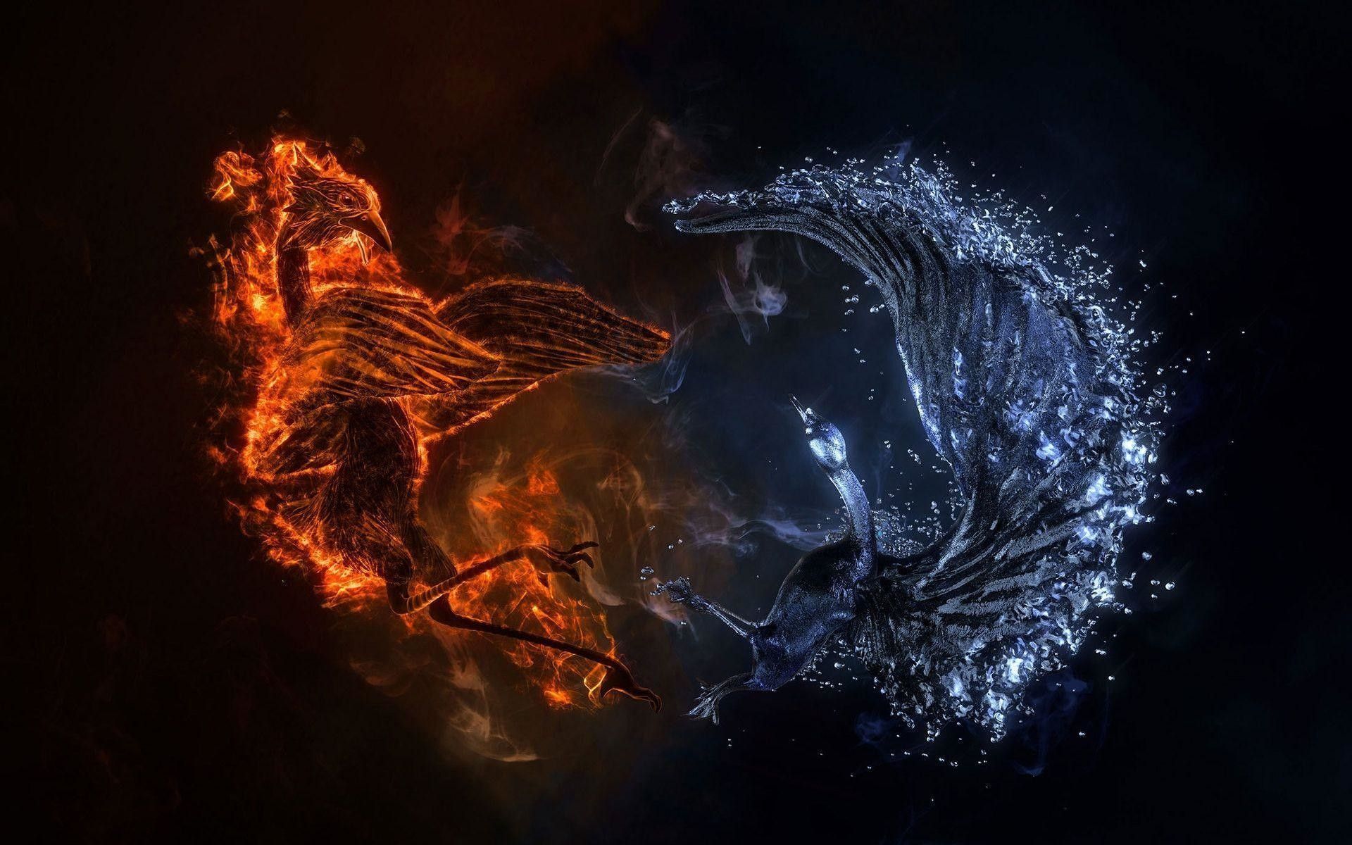 Cavalli fuoco e acqua, 1920x1200 WUXGA, Desktop
