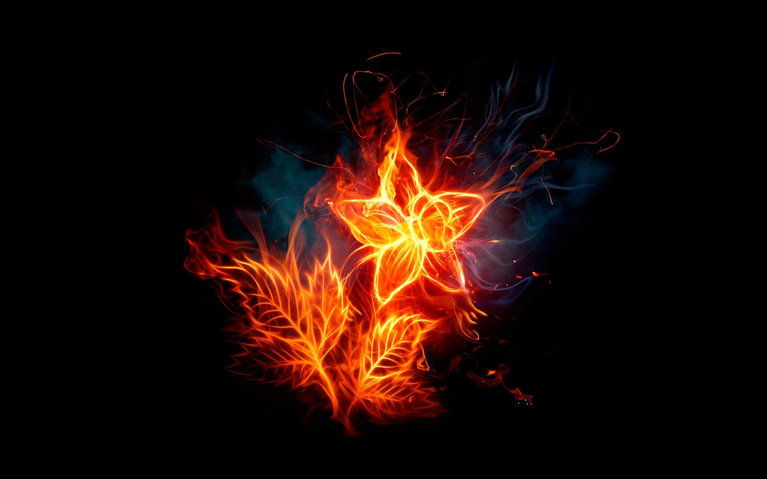Fiore di fuoco astratto, 2560x1600 WQXGA, Laptop