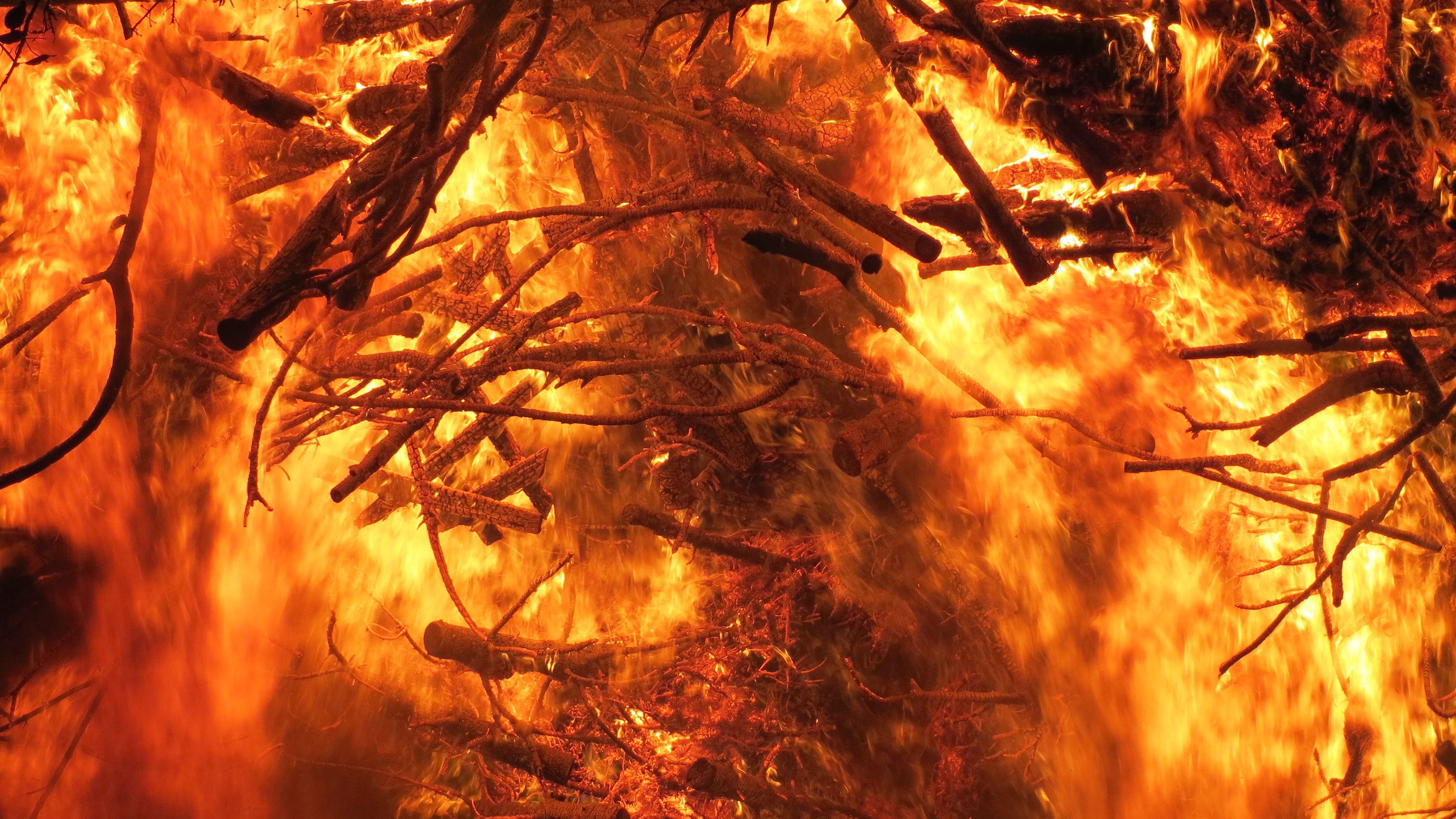 Fiamme e rami ardenti, 3840x2160 Ultra HD, 4K TV