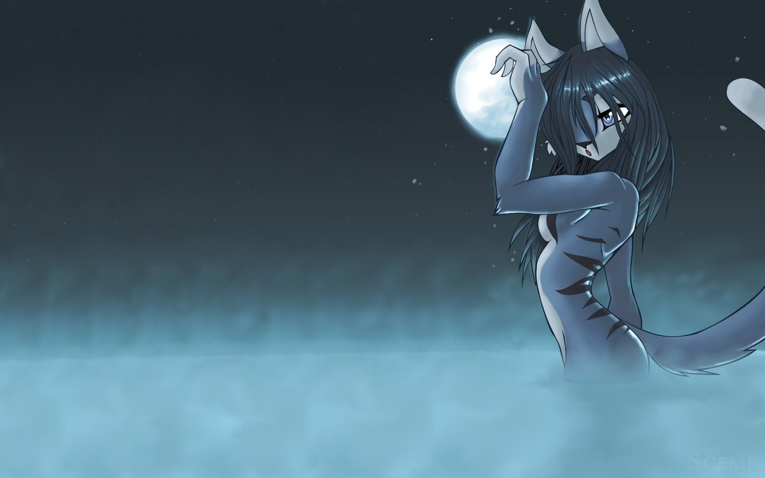Lupa antropomorfa notte luna, 2560x1600 2K, PC