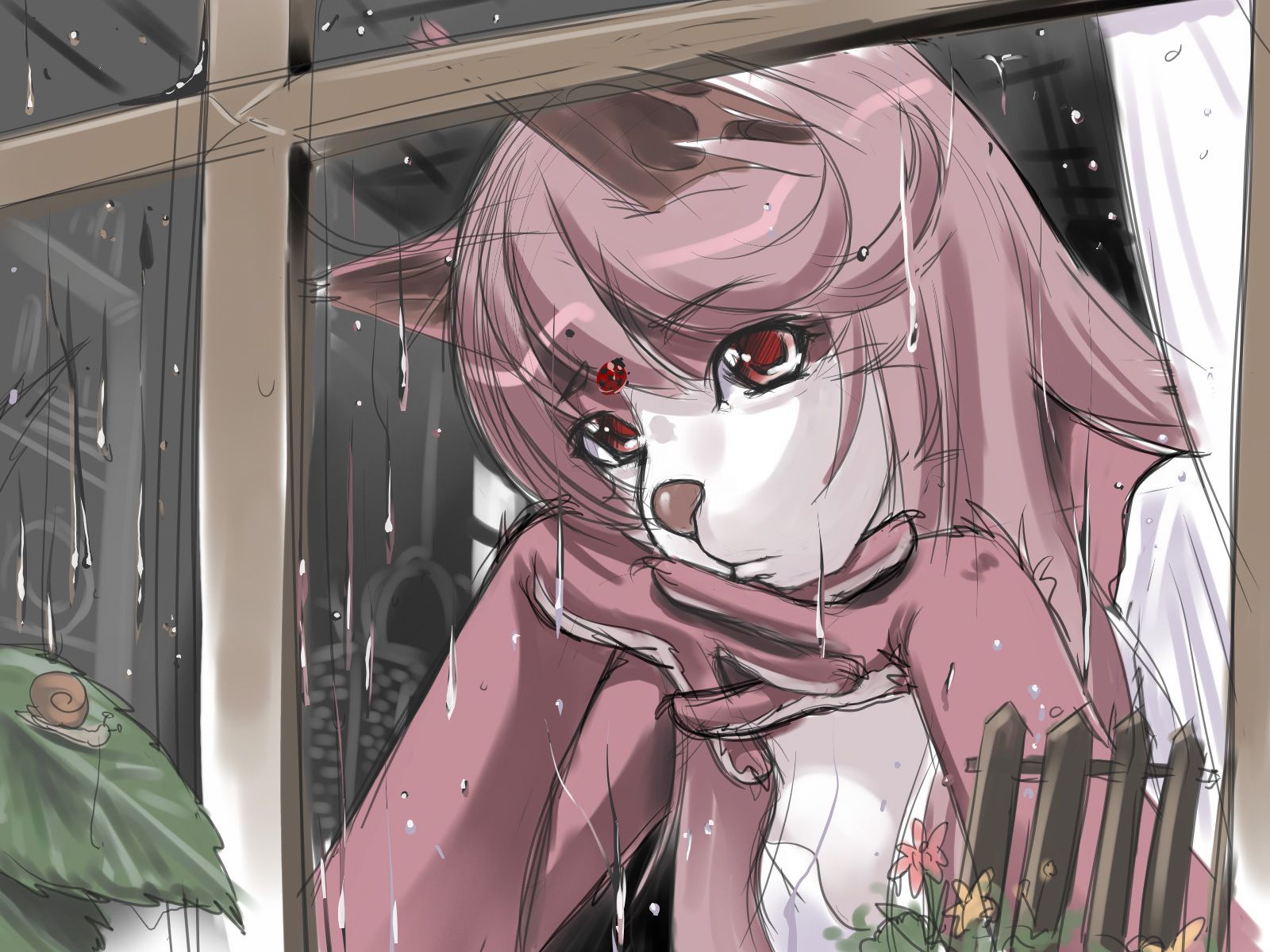 Personaggio furry rosa alla finestra, 1600x1200 900p, Desktop