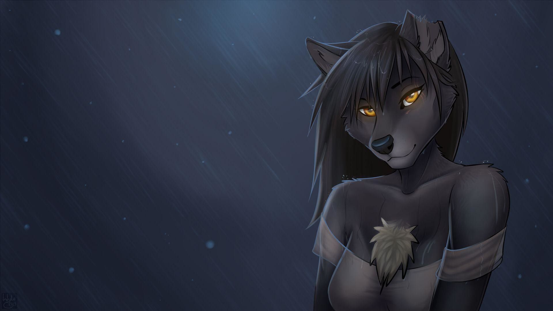 Personaggio furry lupo notte, 1920x1080 Full HD 1080p, PC Desktop