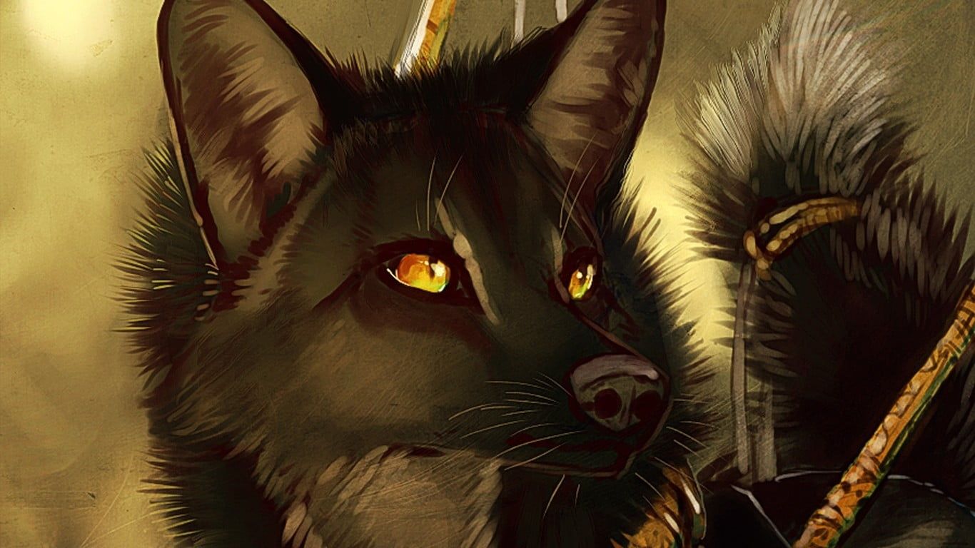 Lupo nero occhi arancioni, 1366x768 HD, Desktop