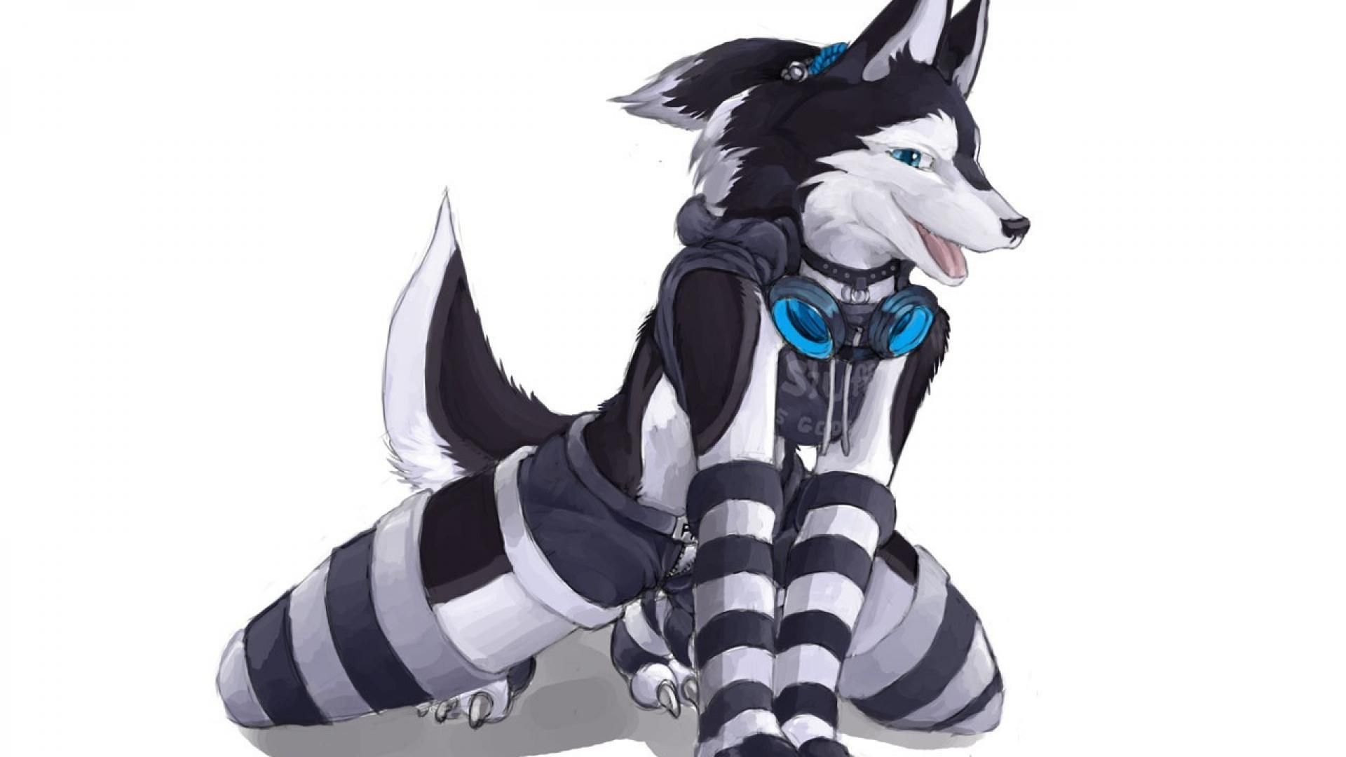 Fursona lupo bianco nero, 1920x1080 Full HD, Desktop
