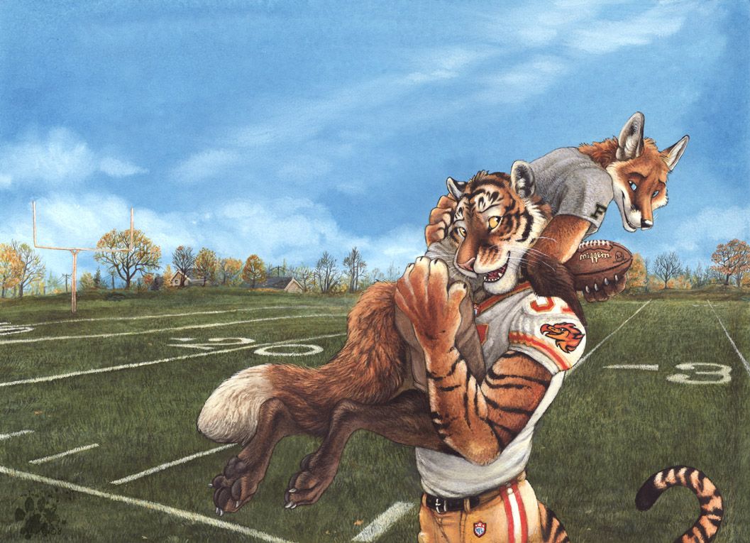 Tigre e volpe furry football, 1057x765 HD, Laptop