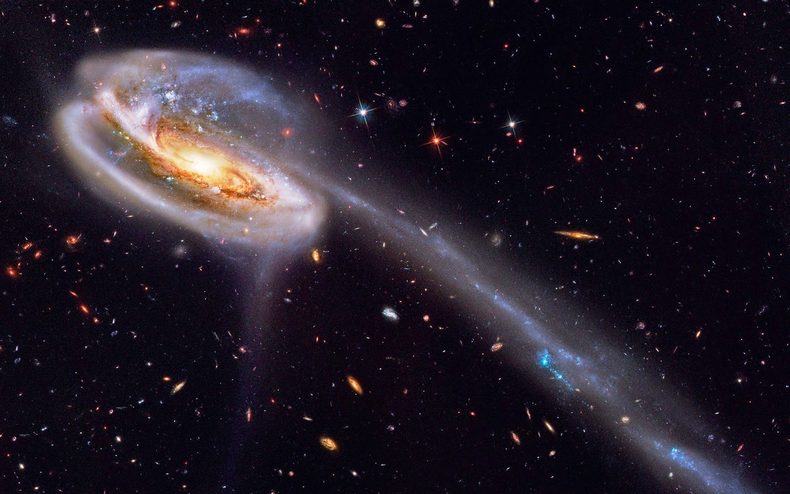Galassia a girino spaziale, 1600x1000 900p, Laptop