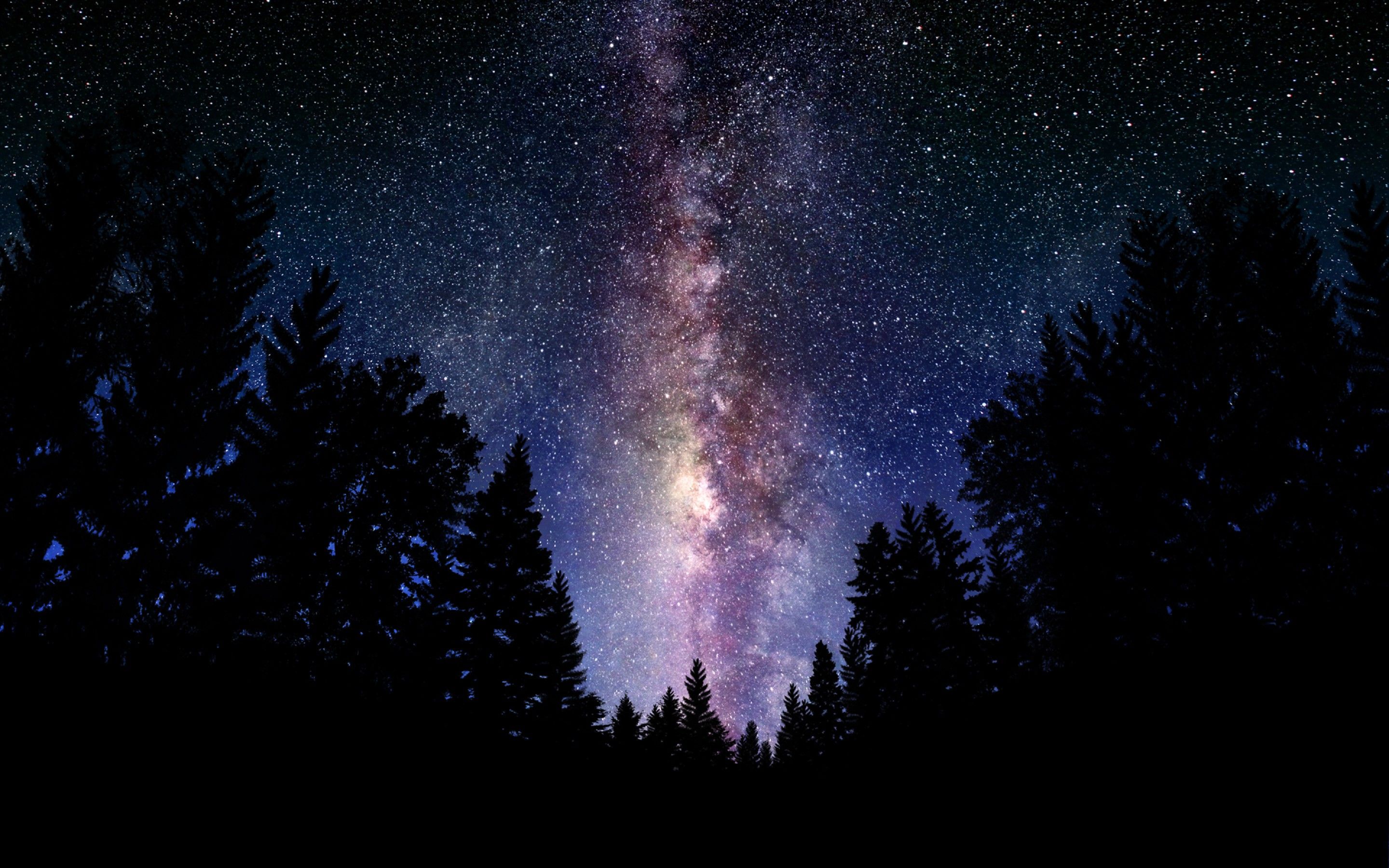 Via Lattea sopra foresta silhouette, 2880x1800 WQXGA, Notebook