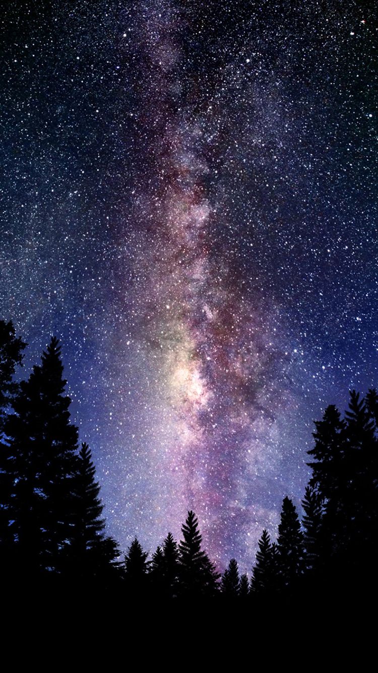 Via Lattea sopra pinete, 750x1334 Full HD Verticale, iPhone