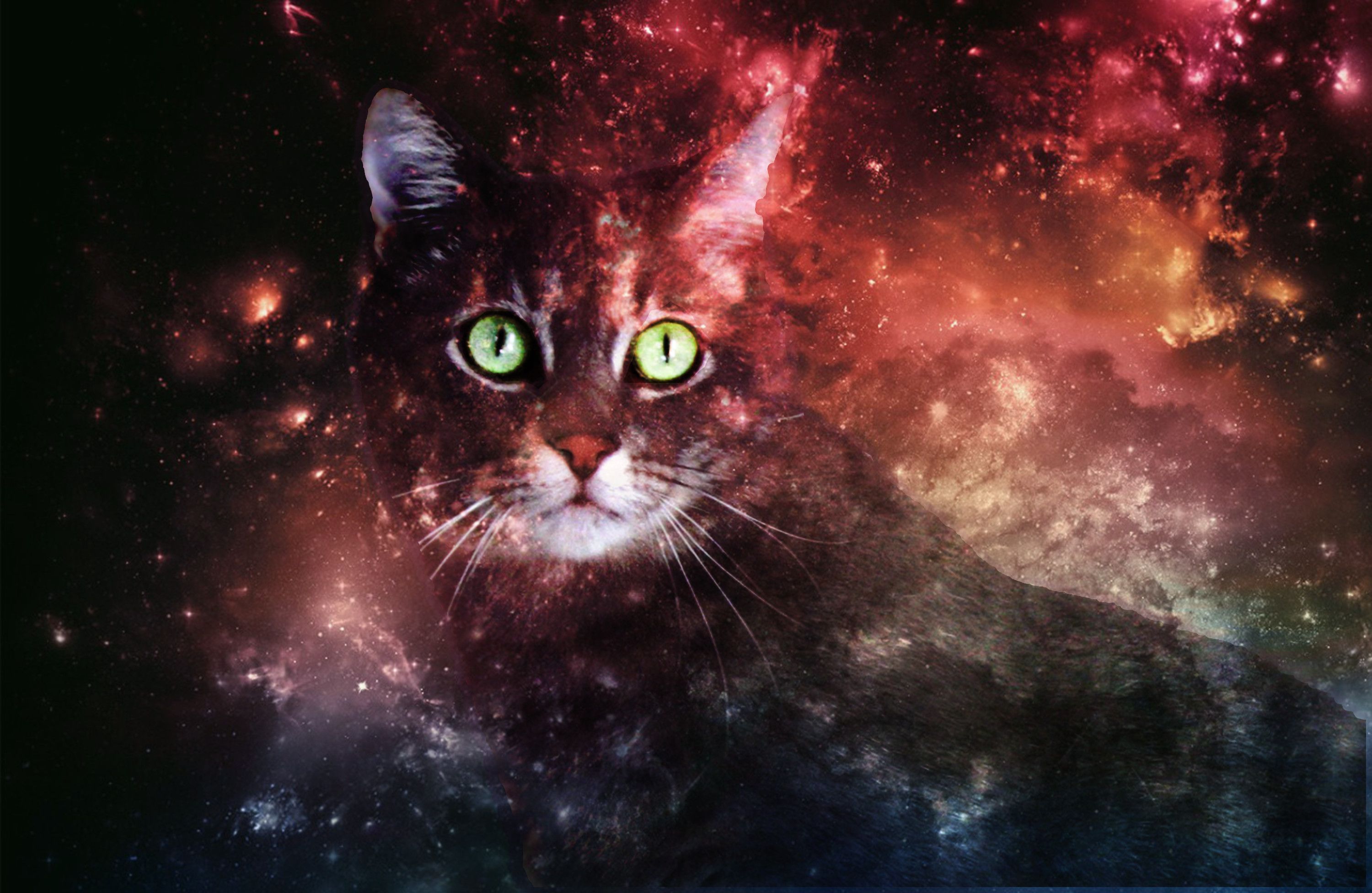 Gatto galassia psichedelica, 3000x1952 WQXGA, Monitor Gaming