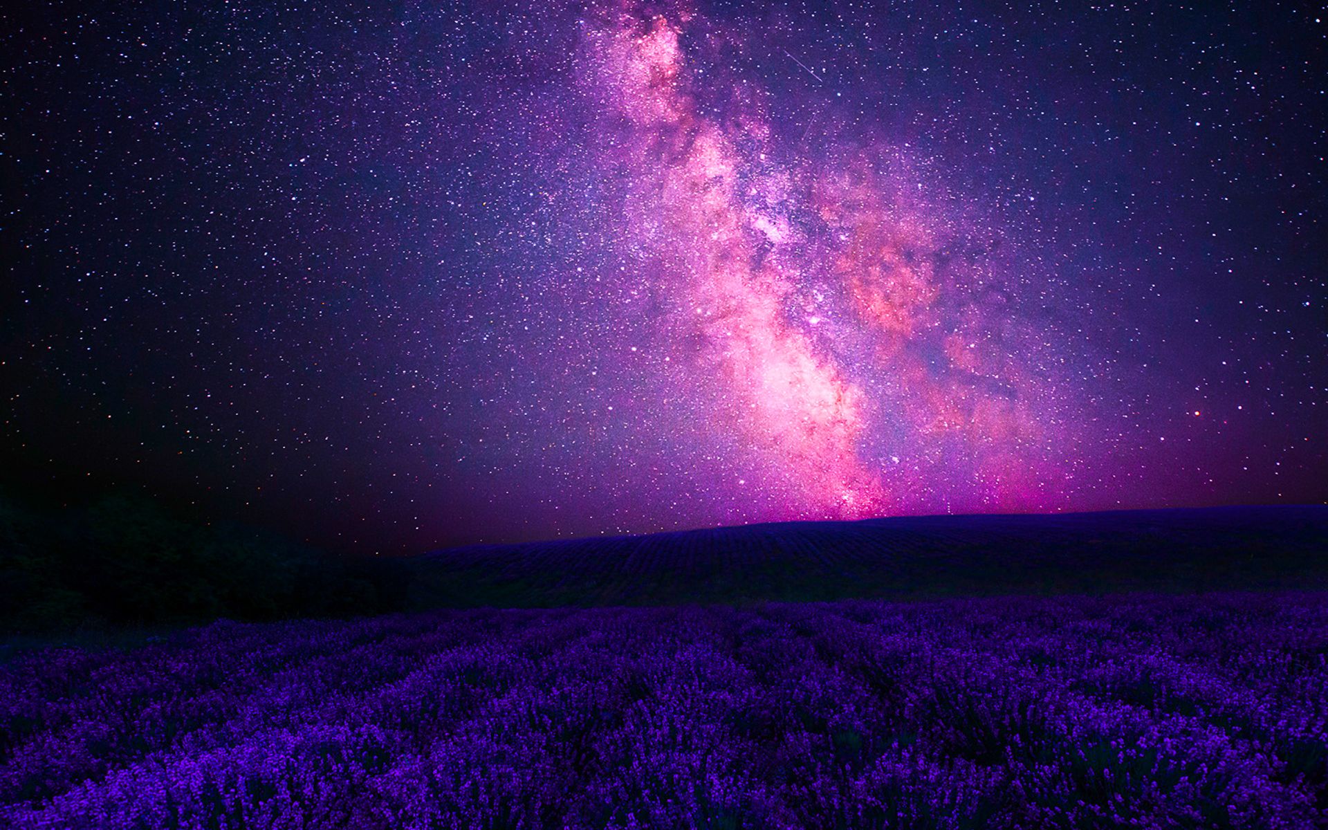 Galassia rosa su campo lavanda, 1920x1200 WUXGA, Desktop