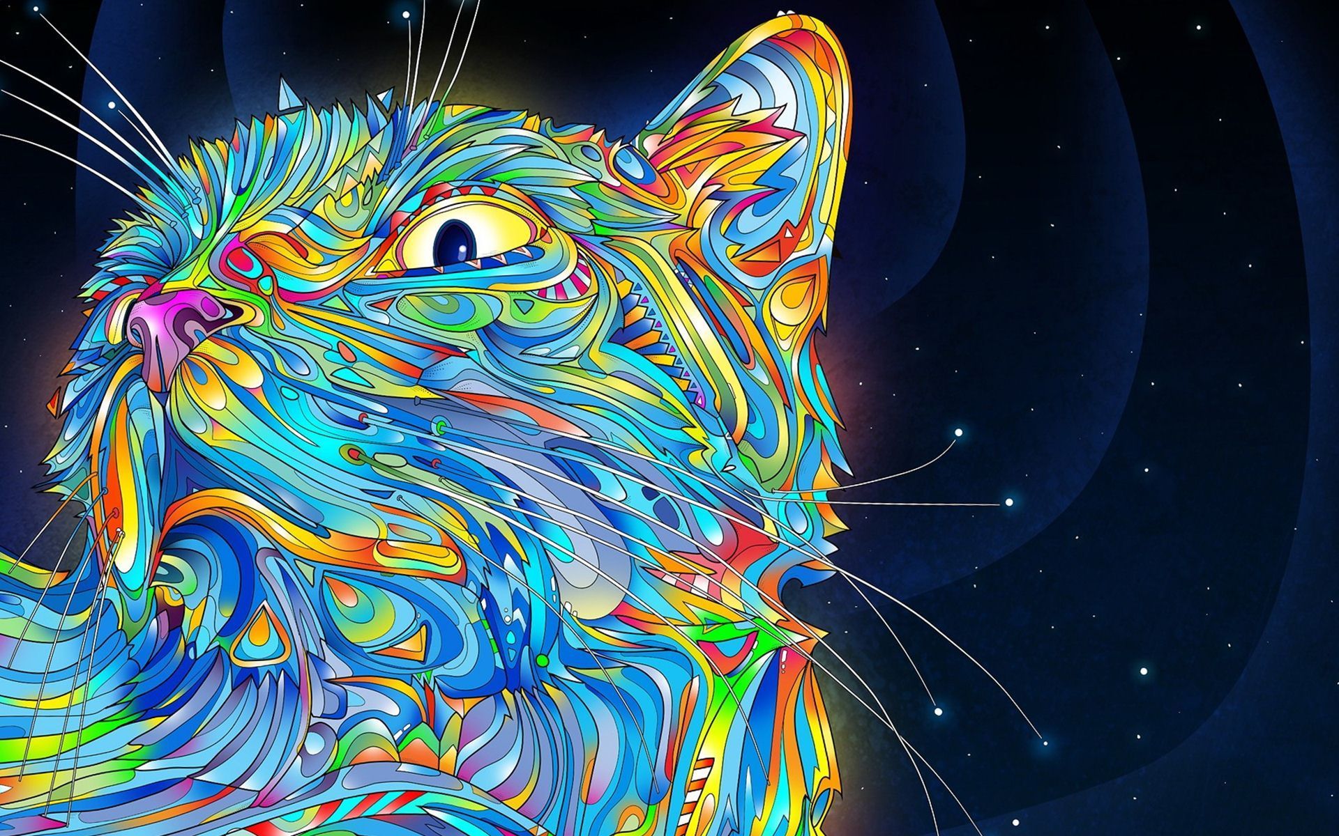 Gatto psichedelico colorato, 1920x1200 WUXGA, Desktop