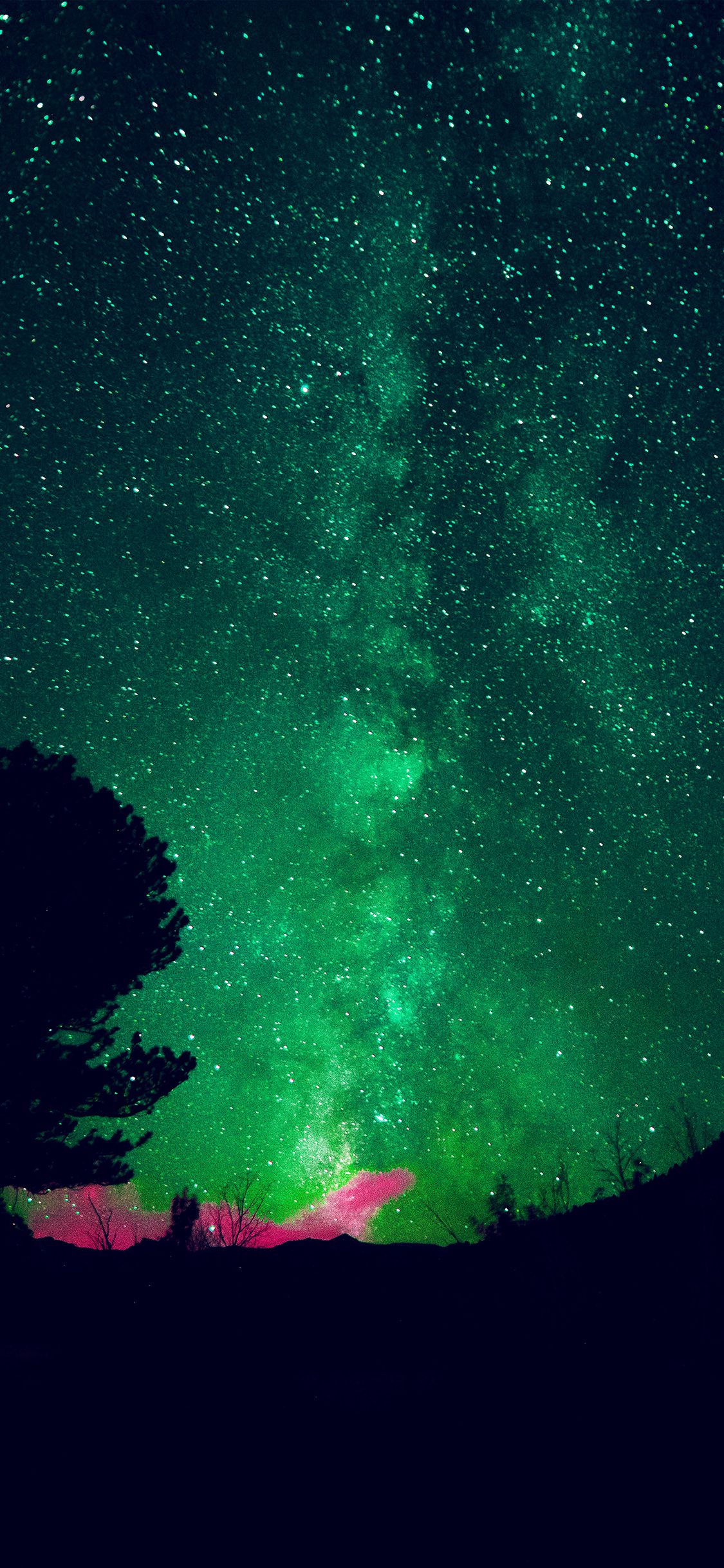 Galassia verde con silhouette albero, 1125x2436 Verticale, Telefono