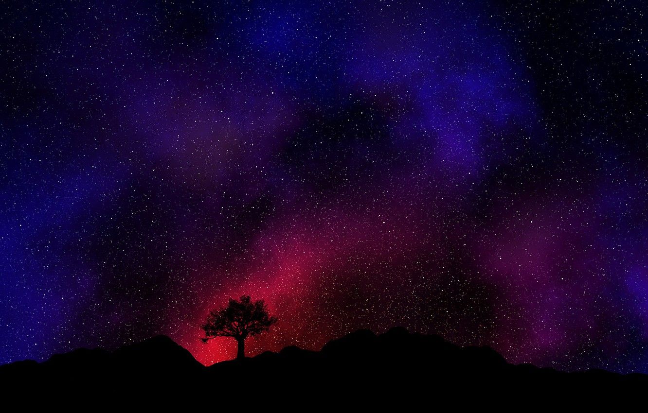 Albero solitario sotto galassia, 1332x850 HD, Desktop