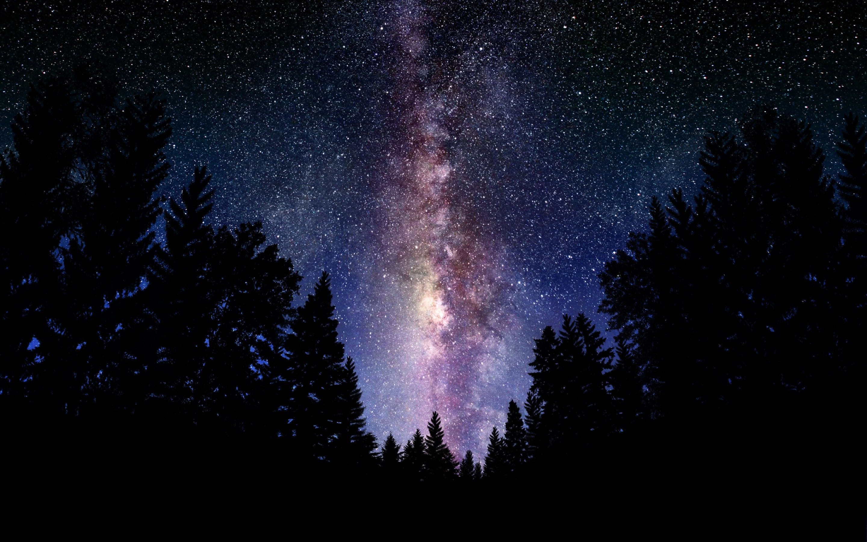 Via Lattea sopra foresta notturna, 2880x1800 WQXGA, Desktop