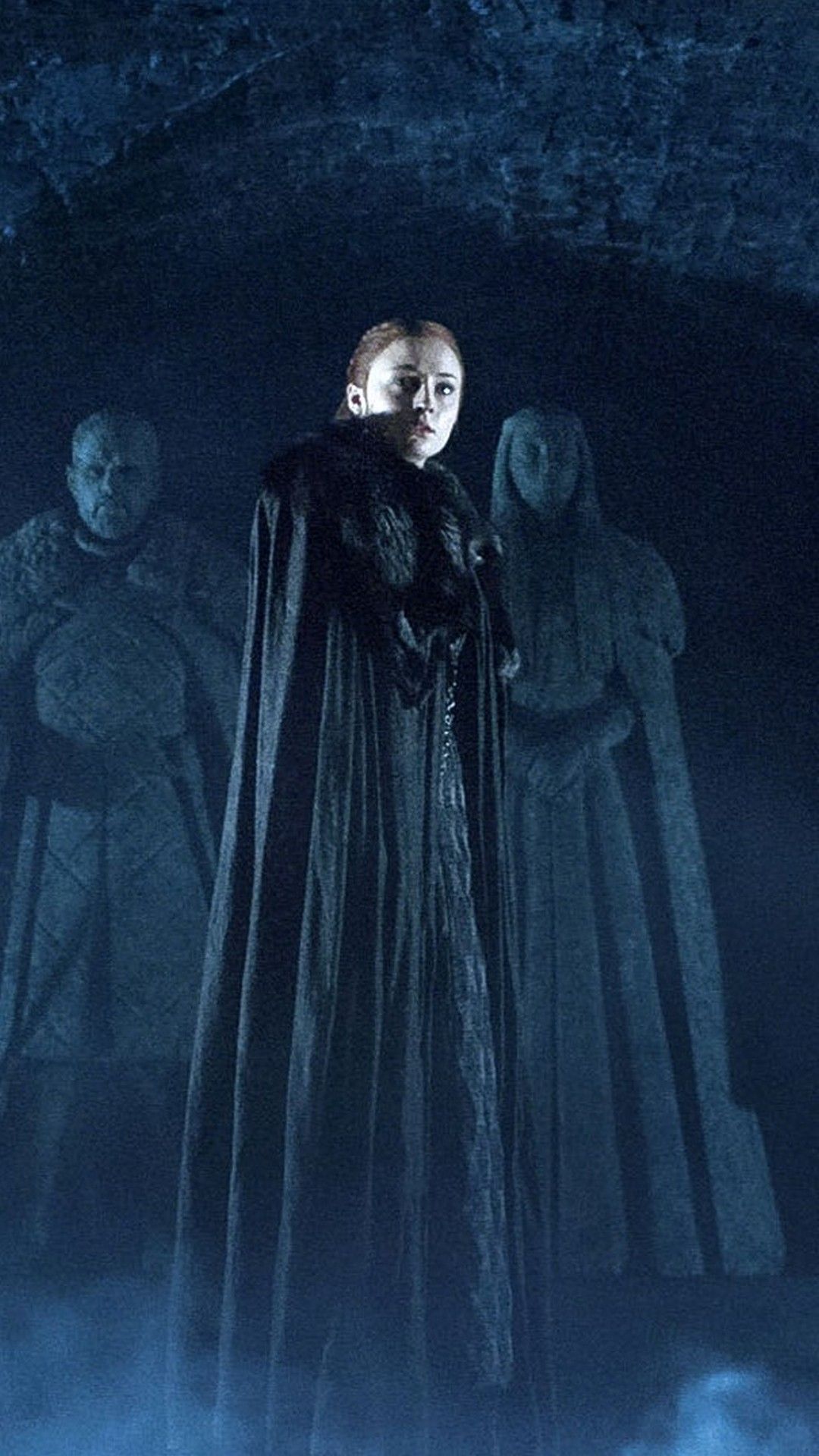 Corvo e drago simmetrici, 1024x1820 Full HD Verticale, iPhone Plus